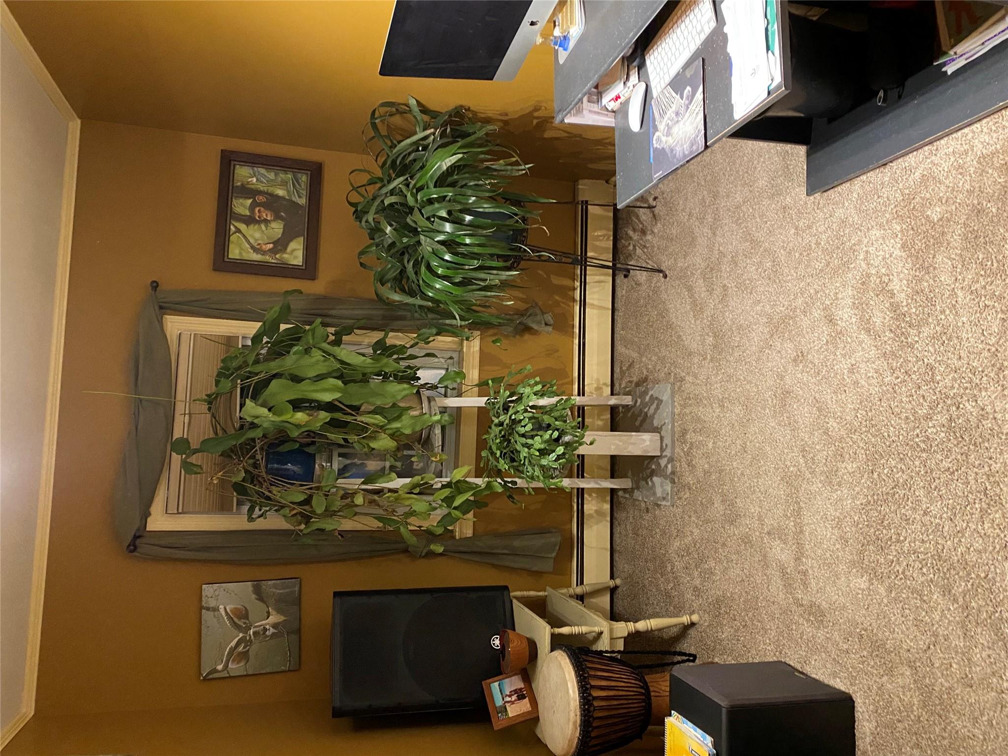 168 Prospect Road Property Photo 12