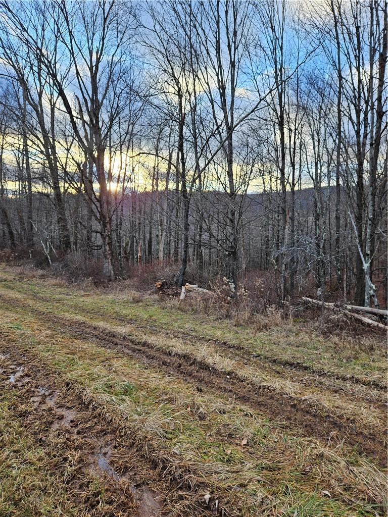 295 Pleasant Valley Road Road Property Photo 12