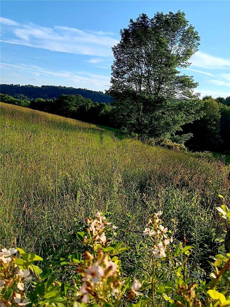 295 Pleasant Valley Road Road Property Photo 14
