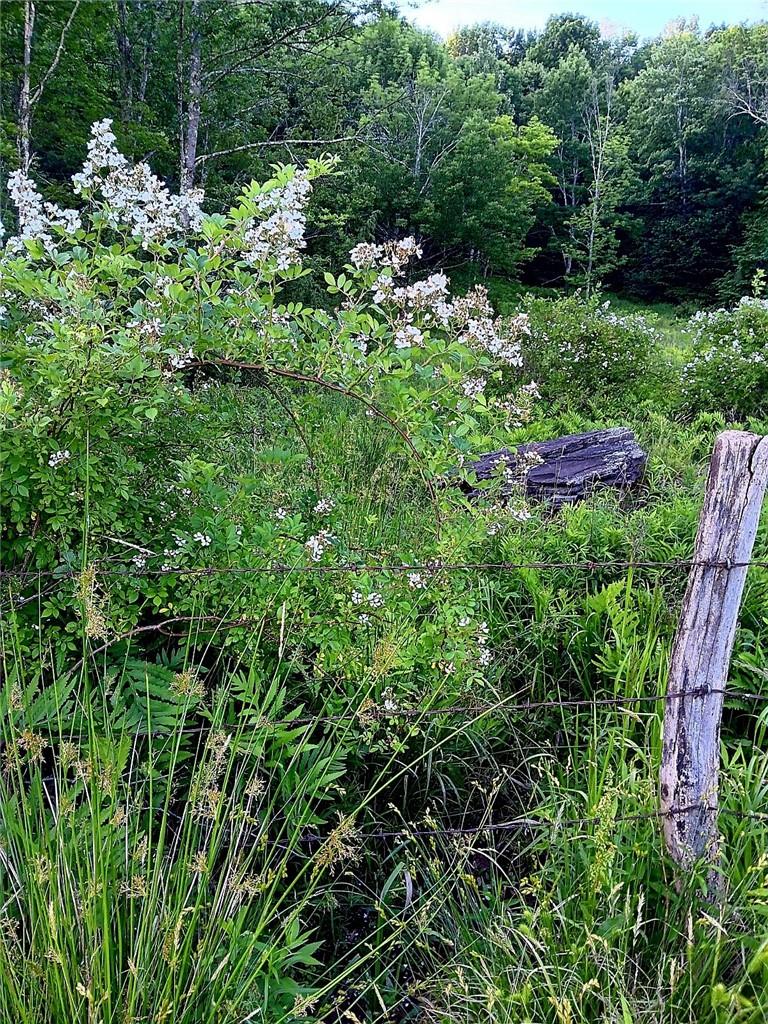 295 Pleasant Valley Road Road Property Photo 15
