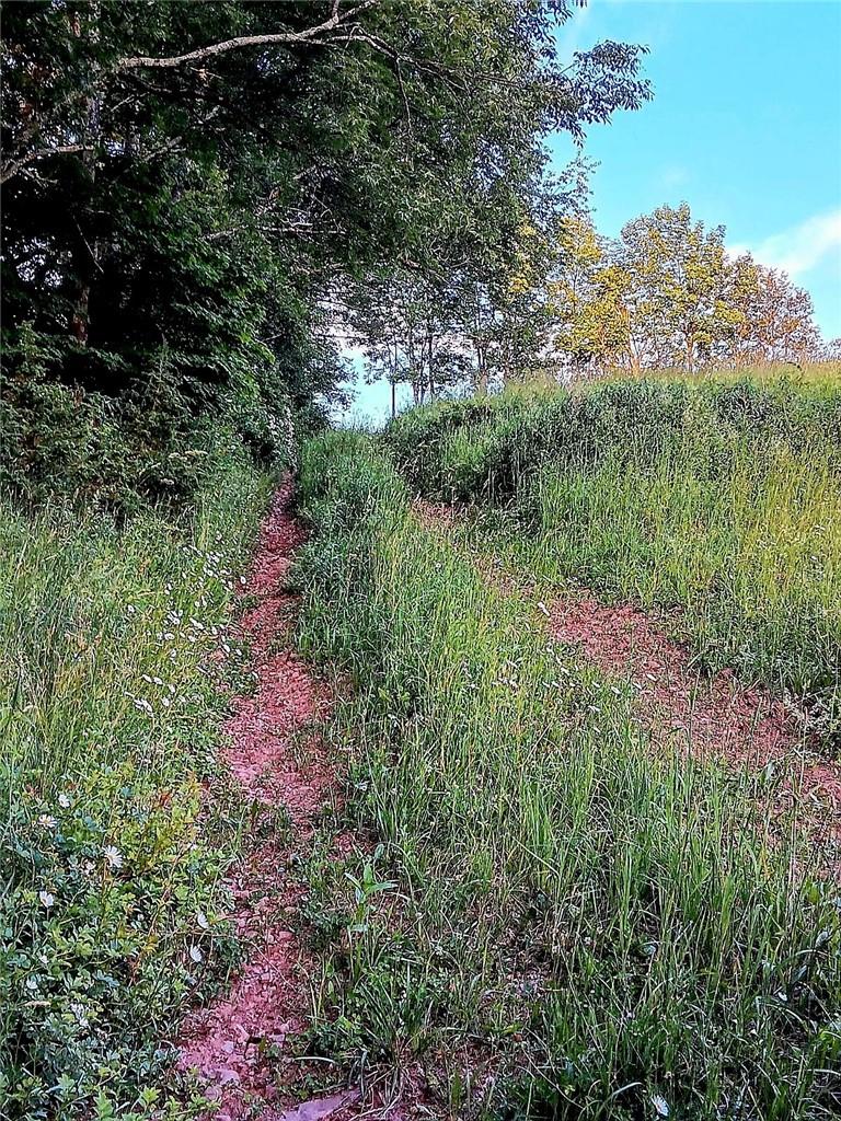 295 Pleasant Valley Road Road Property Photo 18