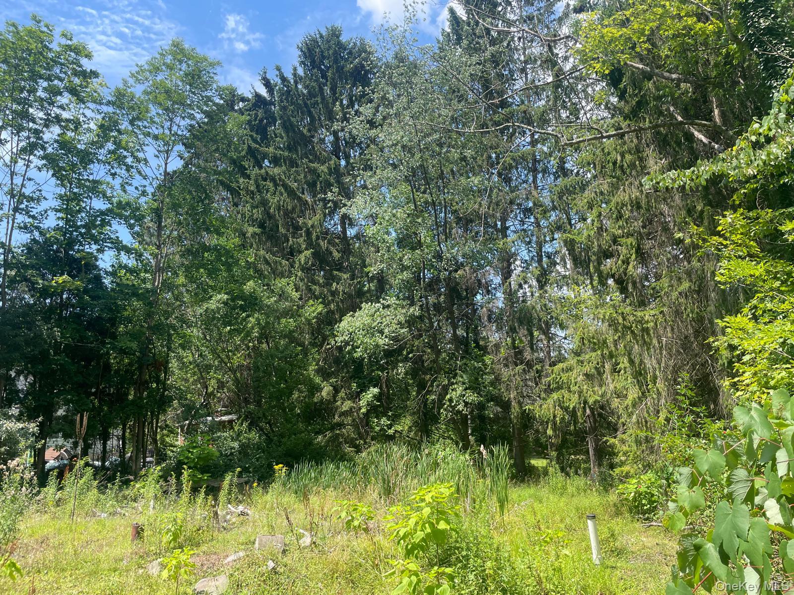 33 Dudley Street Harveys Lake, Pennsylvania Street Property Photo 1