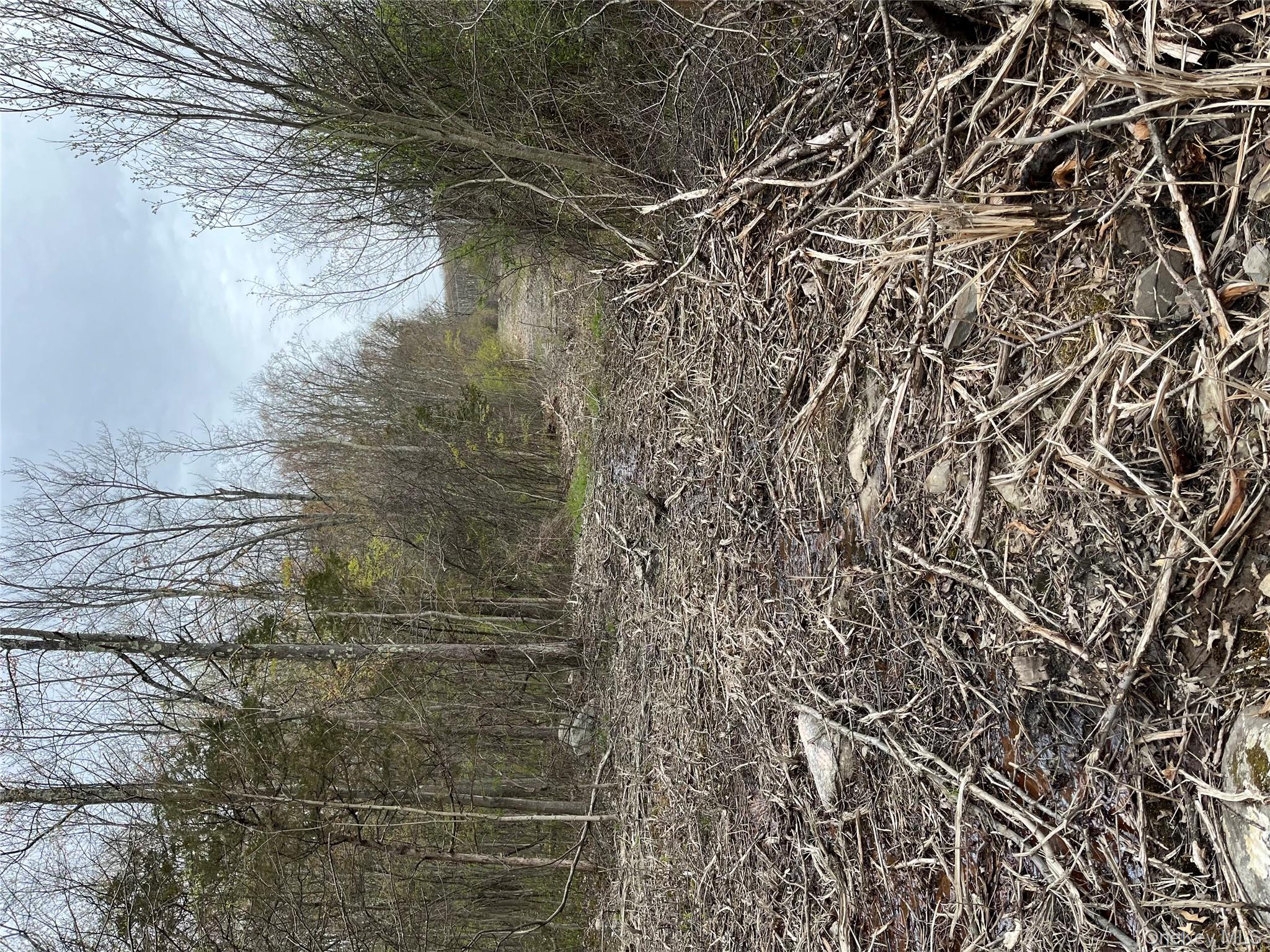 Rebecca Drive Property Photo 5