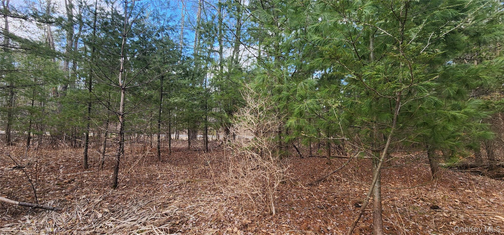 42 Concord Road Property Photo 7