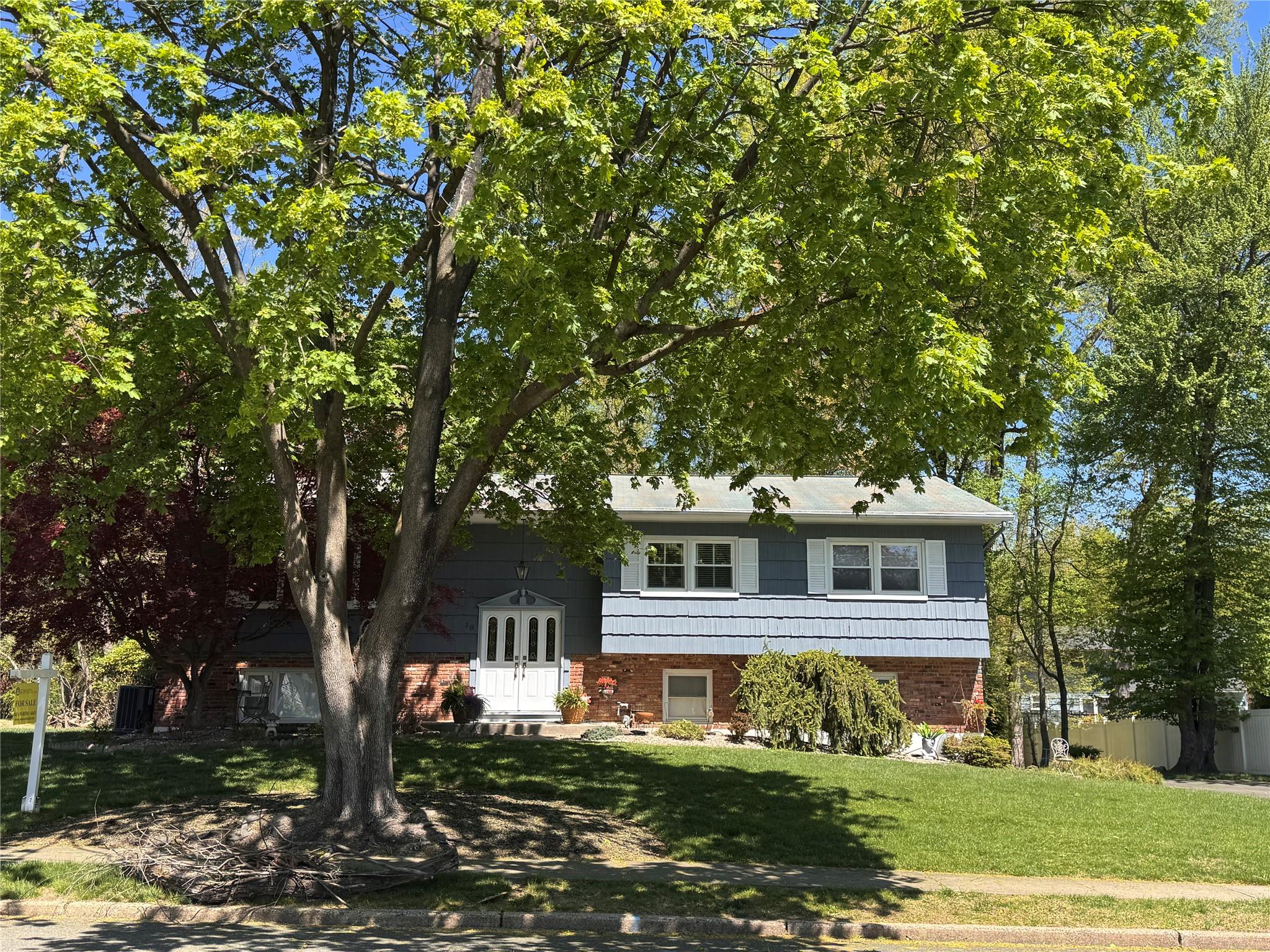 19 Collingswood Road Property Photo