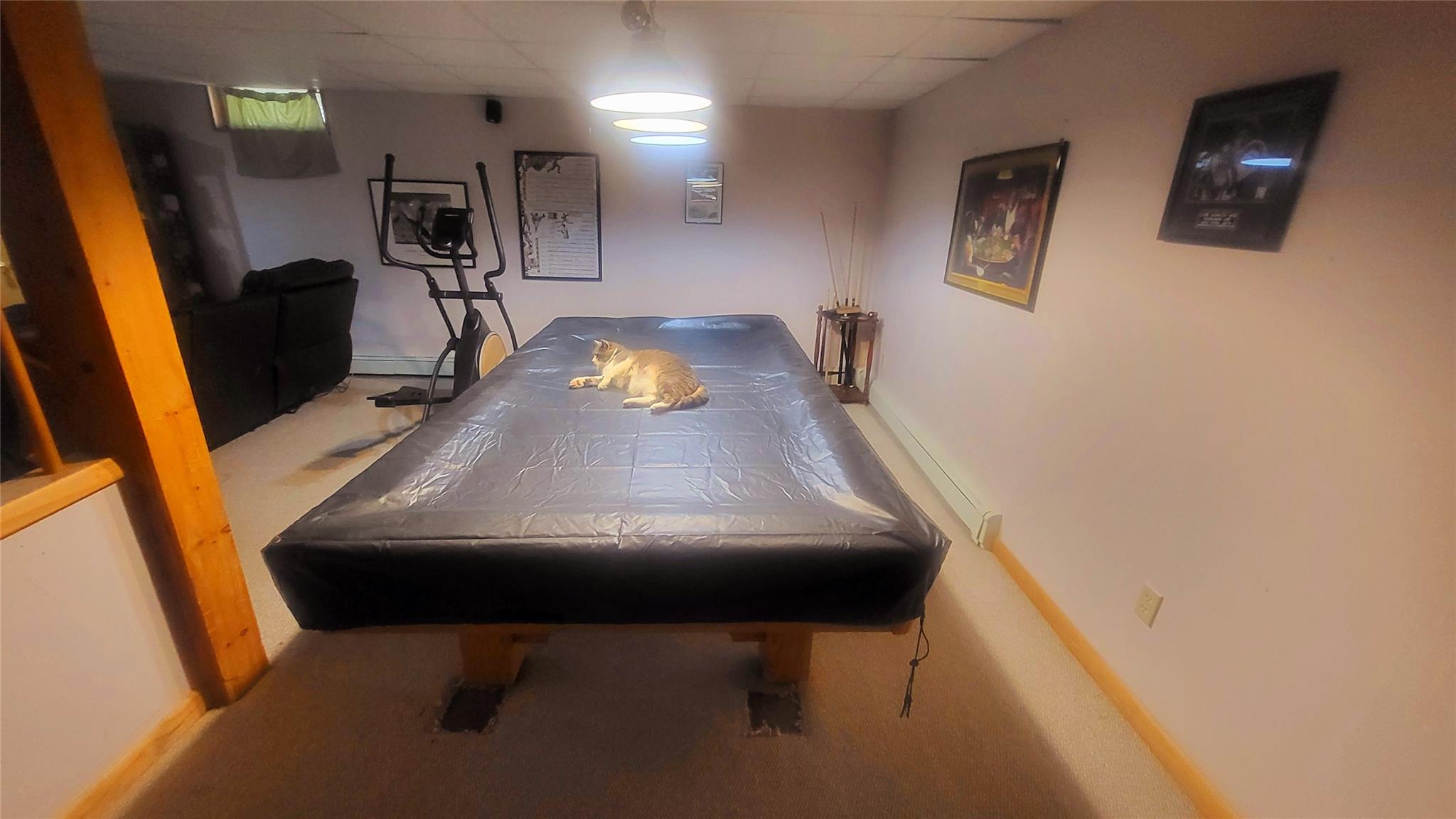 9 Louise Drive Property Photo 16