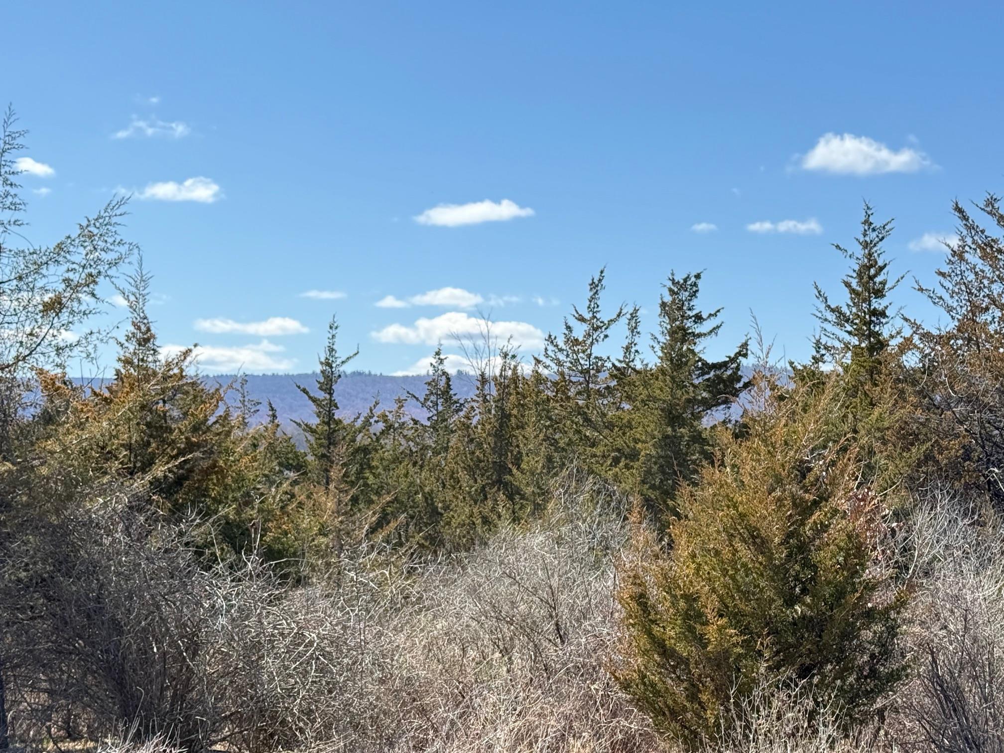 Lot #2 Westerly Ridge Drive Property Photo