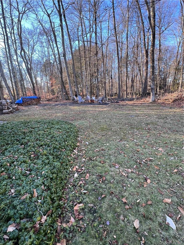45 W Adirondack Trail Property Photo 15