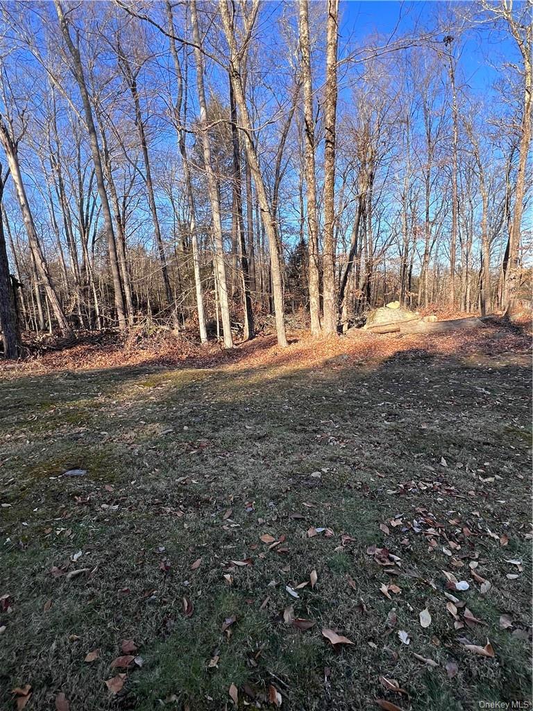 45 W Adirondack Trail Property Photo 18