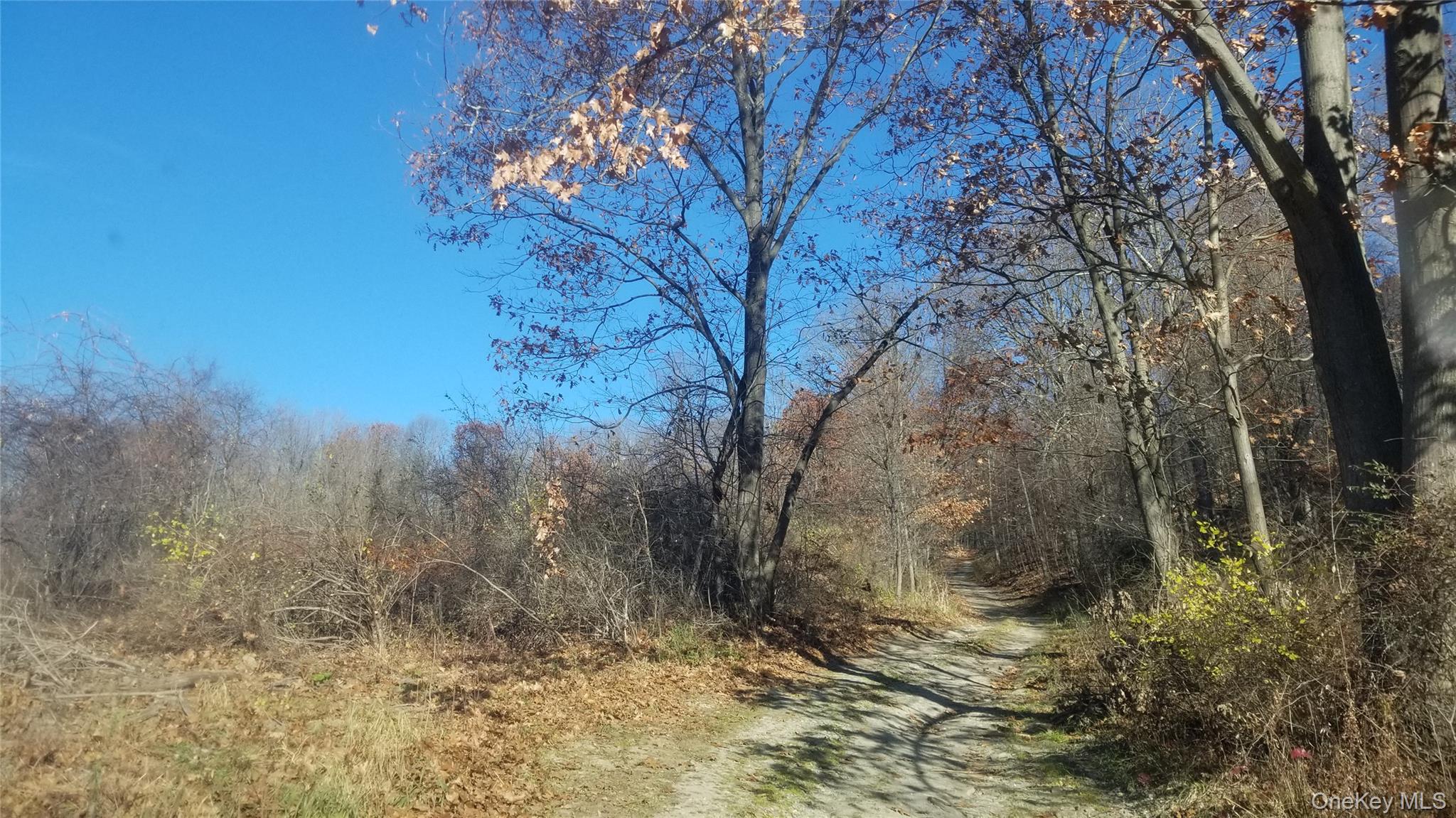 234 State Line Road Property Photo 12