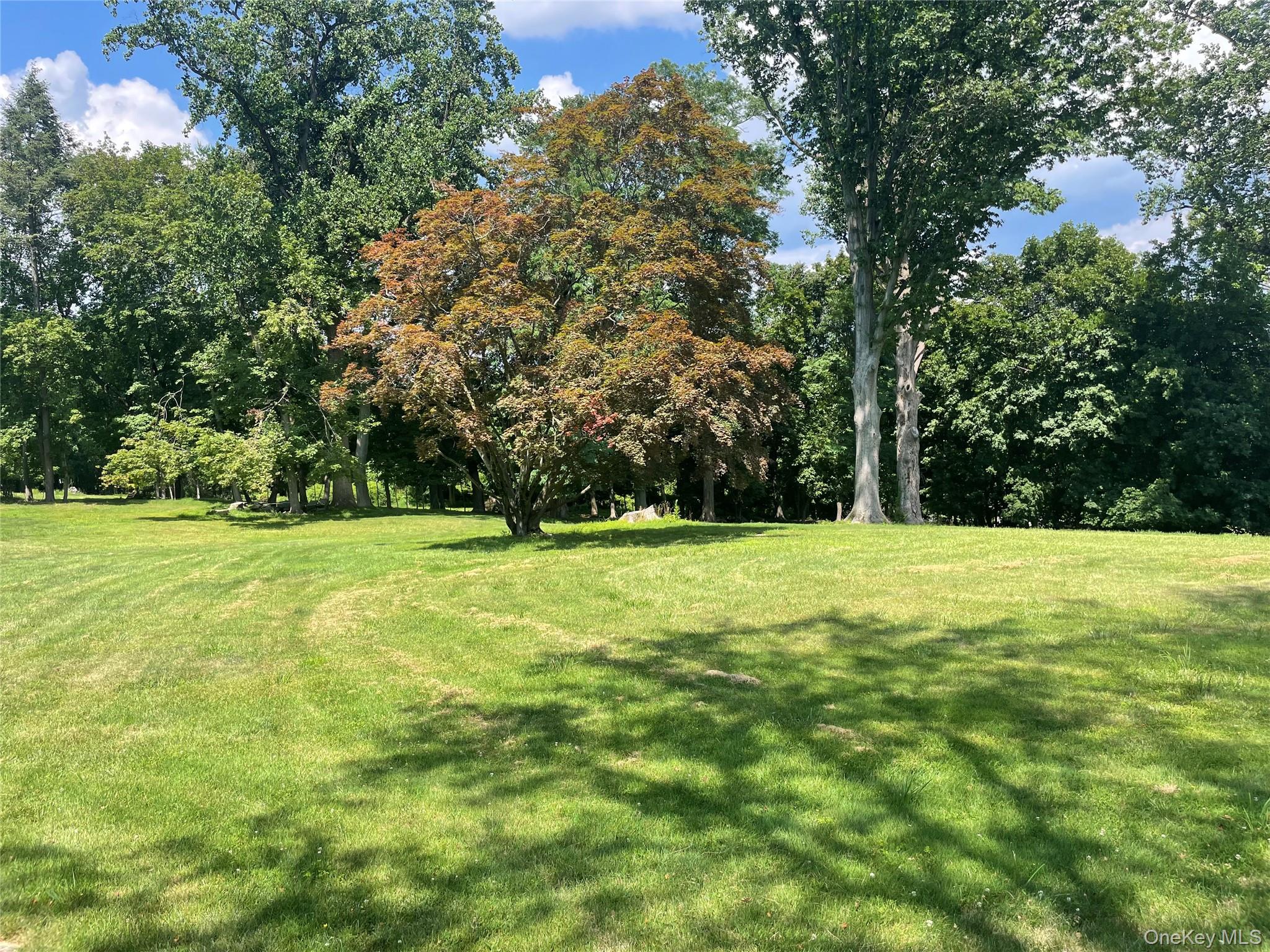 523 N Midland Avenue Property Photo 22