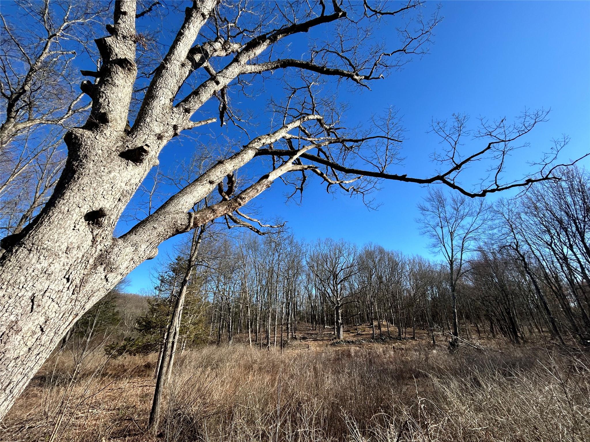 Rt-9g Property Photo