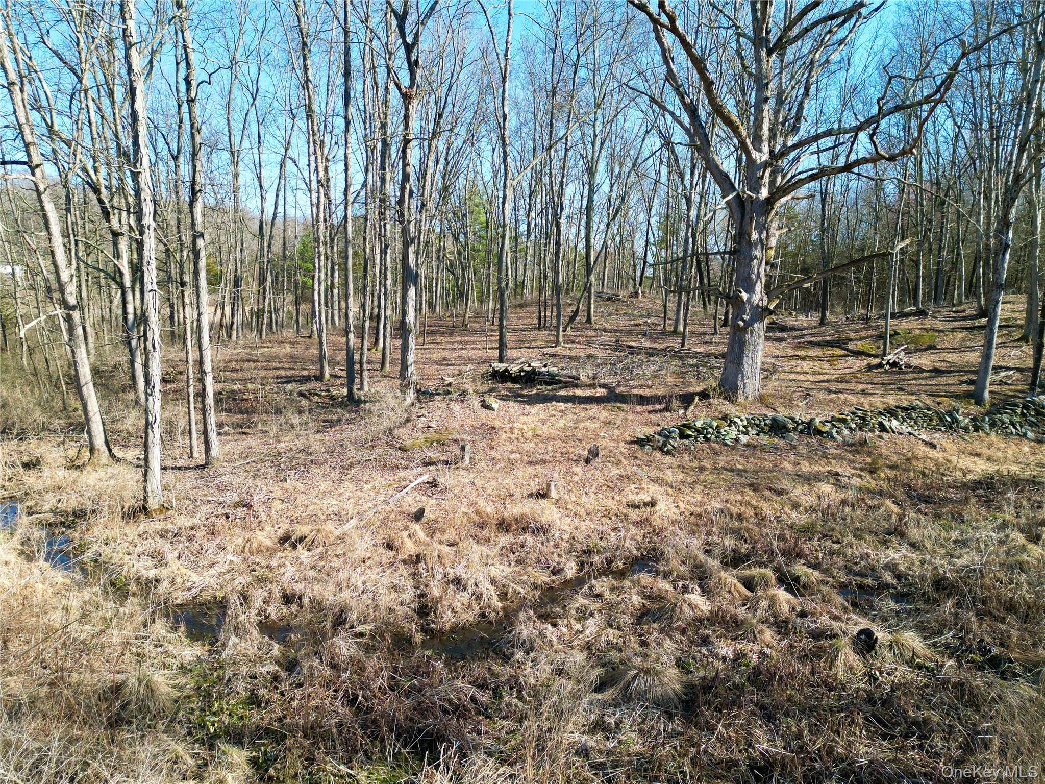 Rt-9g Property Photo 4