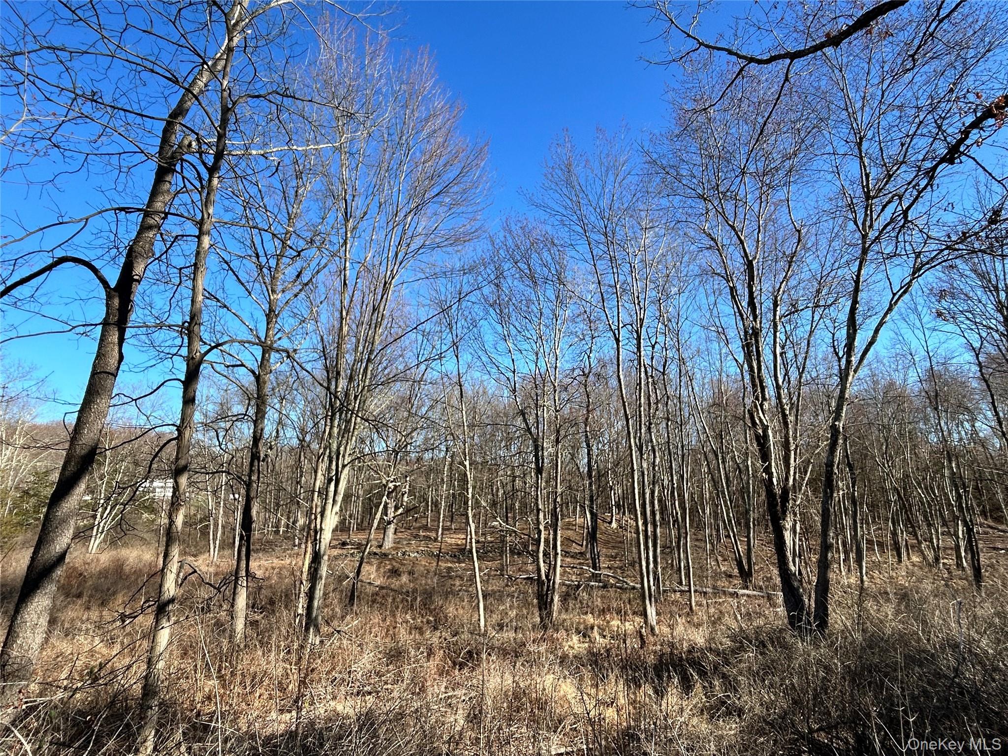 Rt-9g Property Photo 5