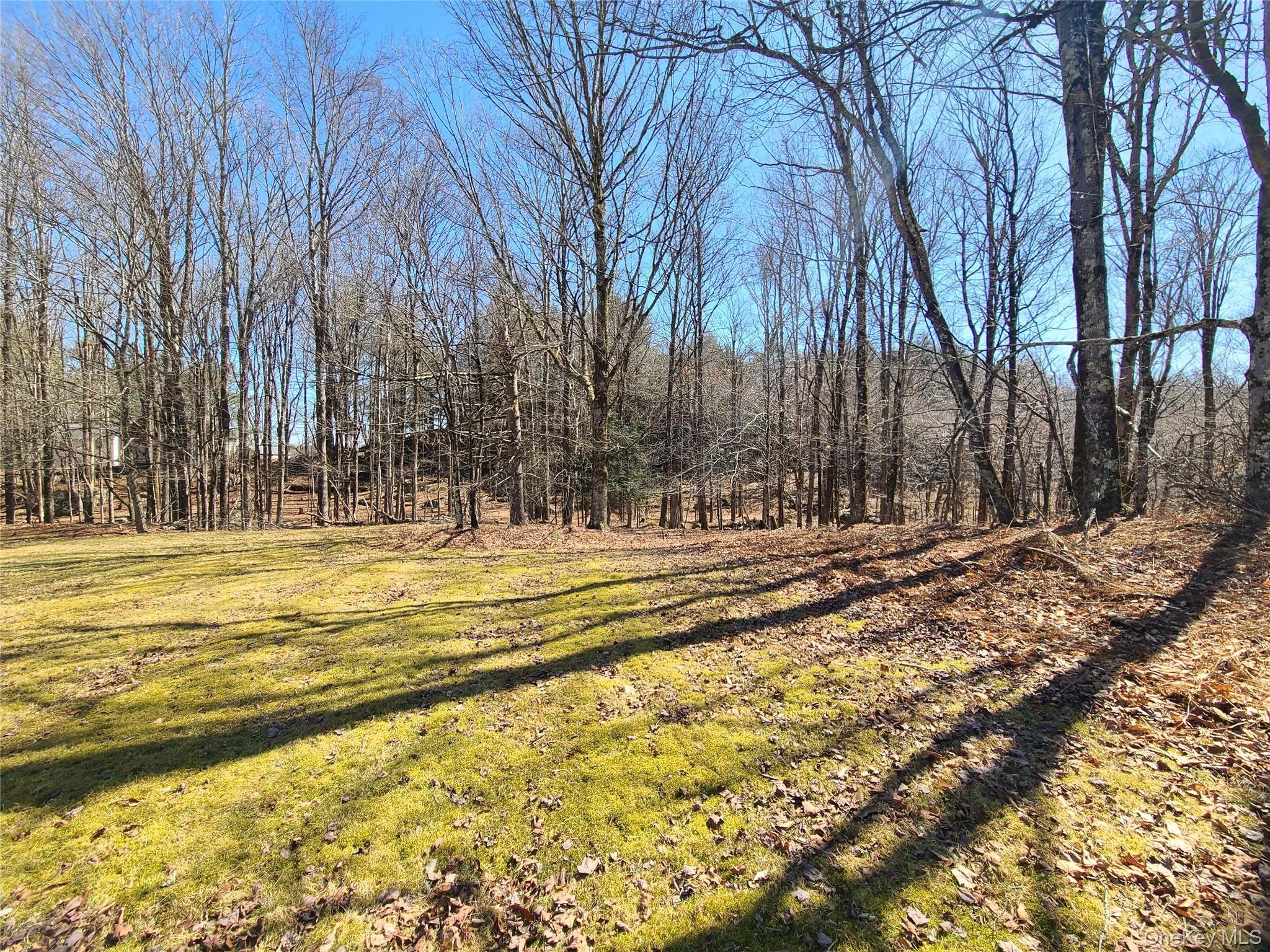 1095 State Route 17b Property Photo 39