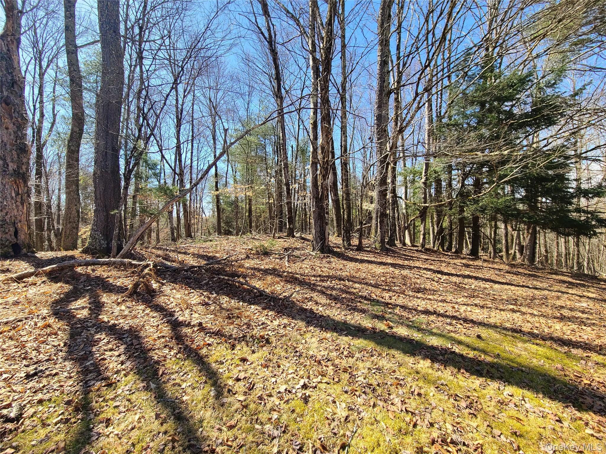 1095 State Route 17b Property Photo 41
