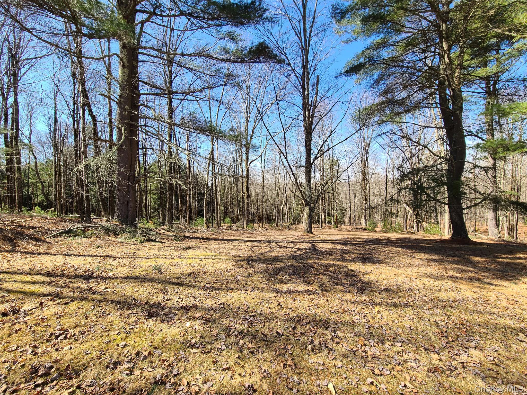 1095 State Route 17b Property Photo 42