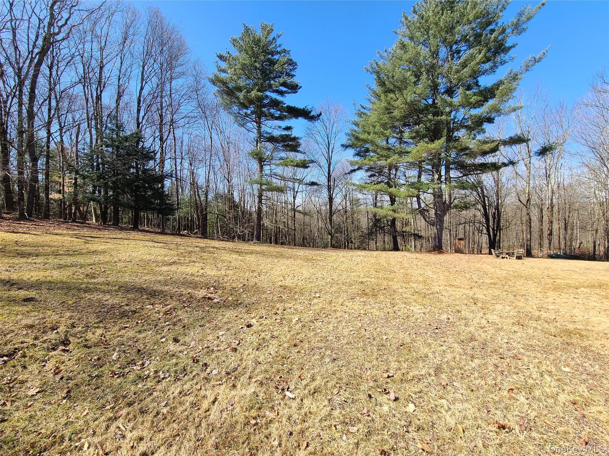 1095 State Route 17b Property Photo 44