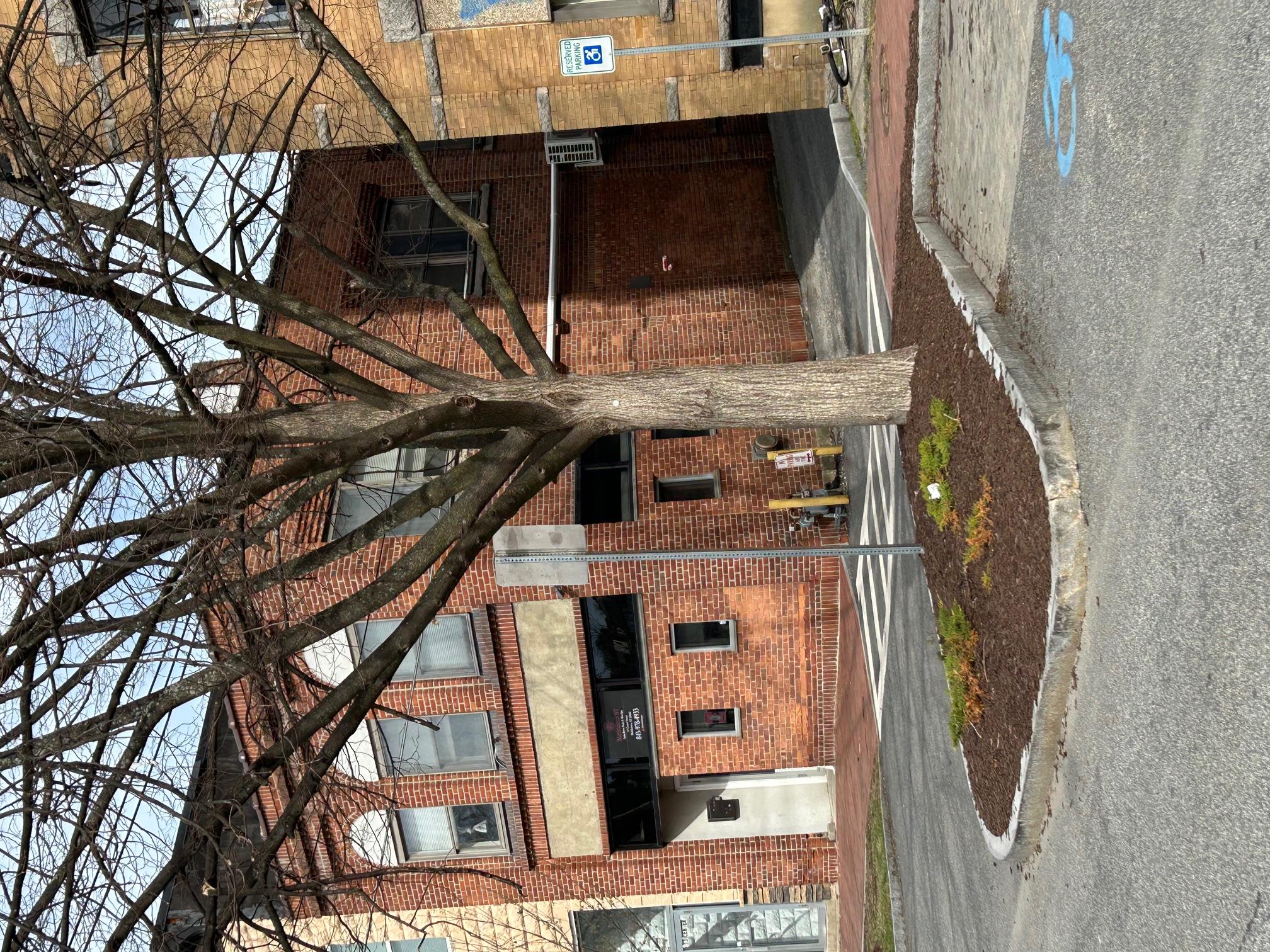 11 Center Street Property Photo
