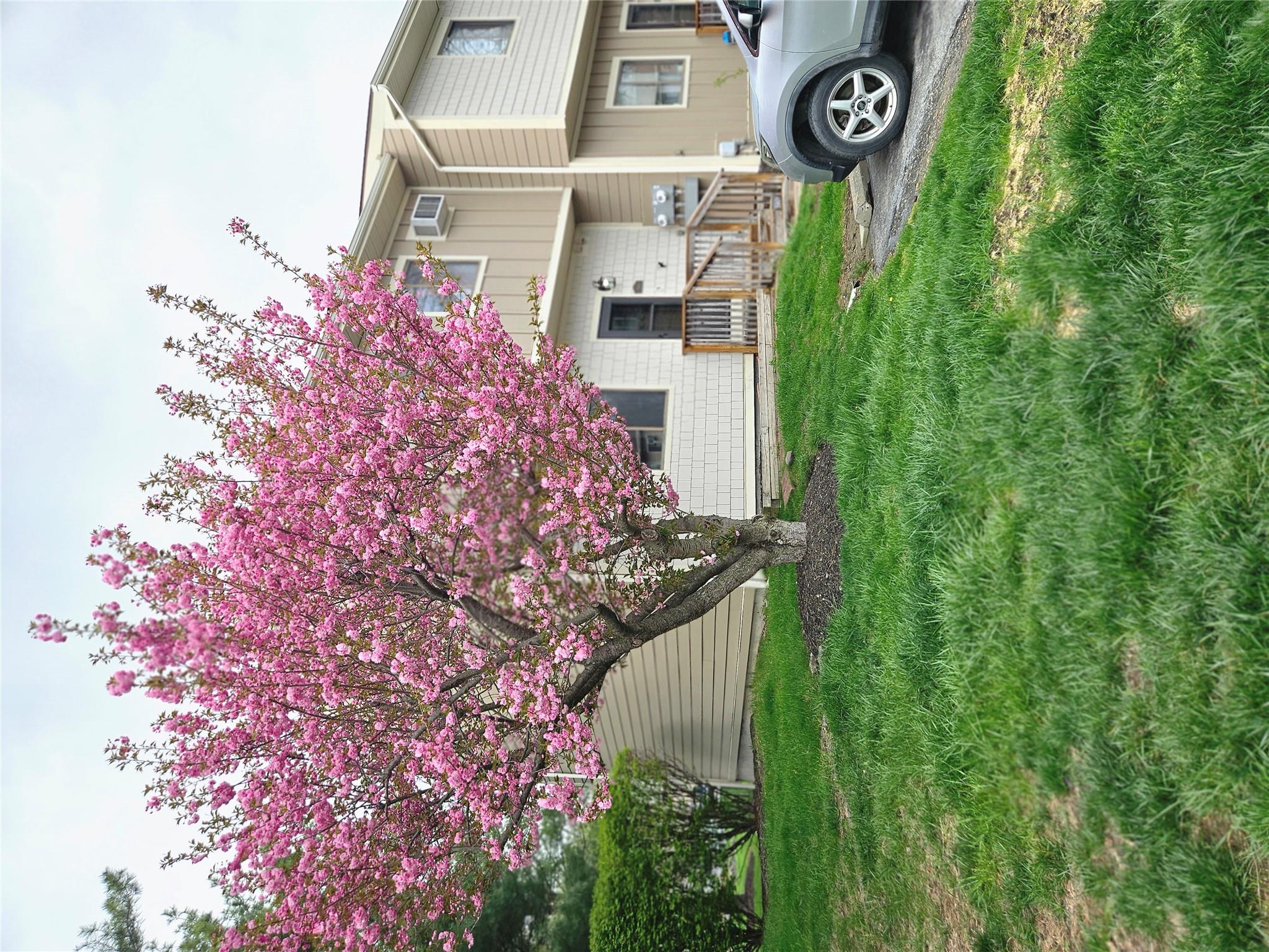5901 Chelsea Cove Property Photo
