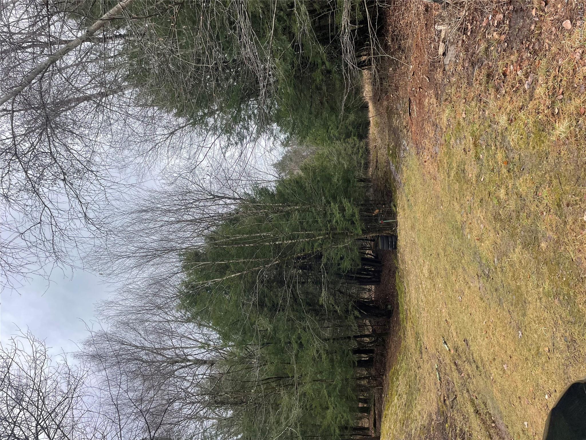 39 Birch Lane Property Photo 7