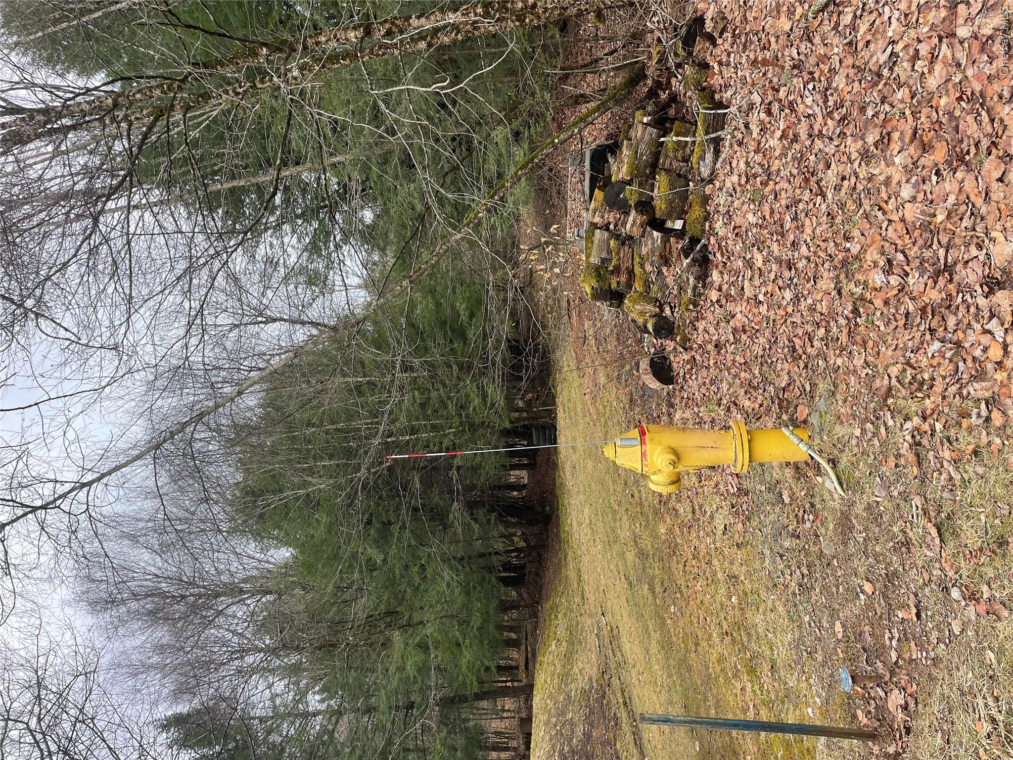 39 Birch Lane Property Photo 11