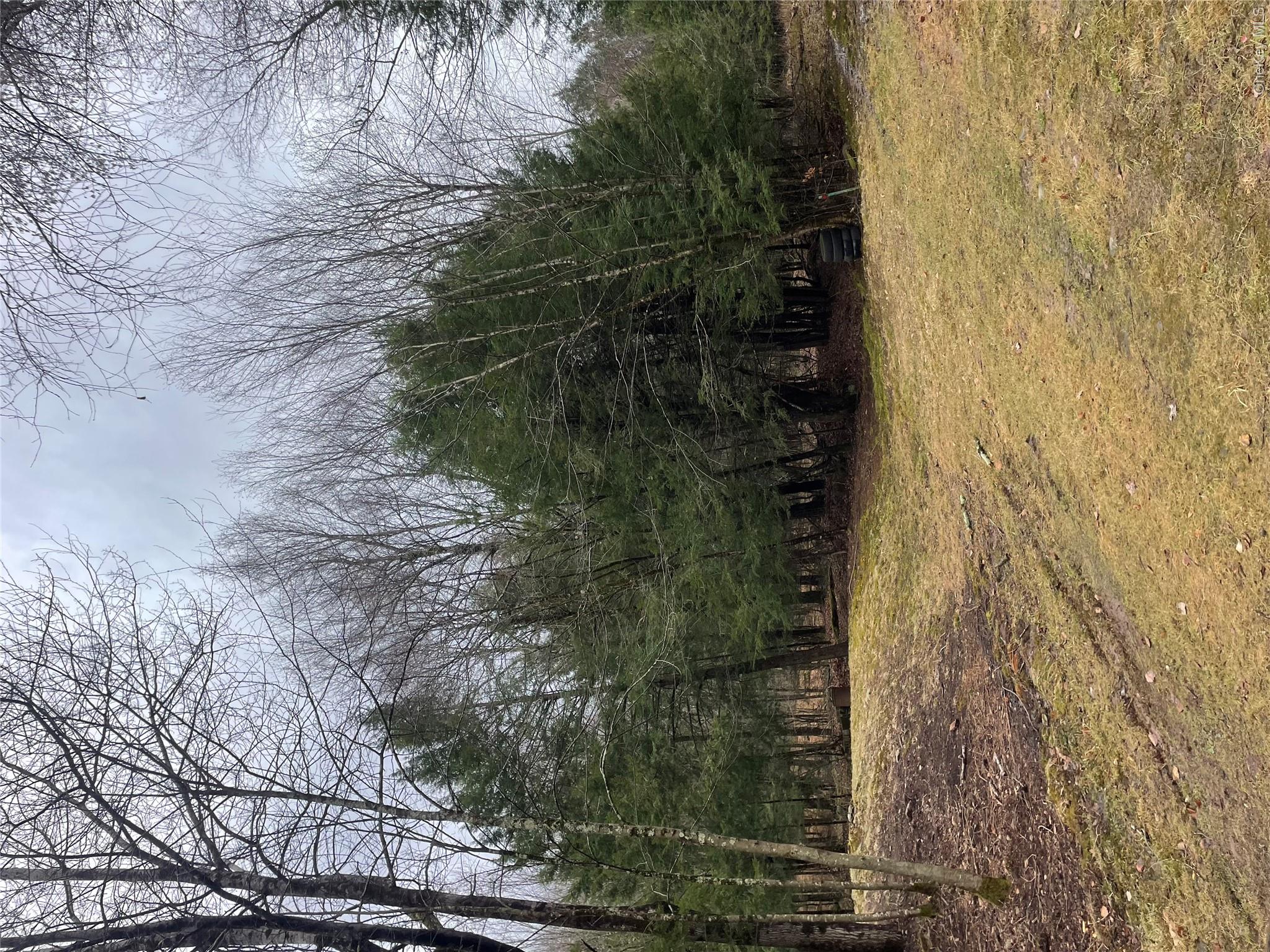 39 Birch Lane Property Photo 13