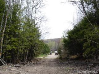39 Birch Lane Property Photo 16