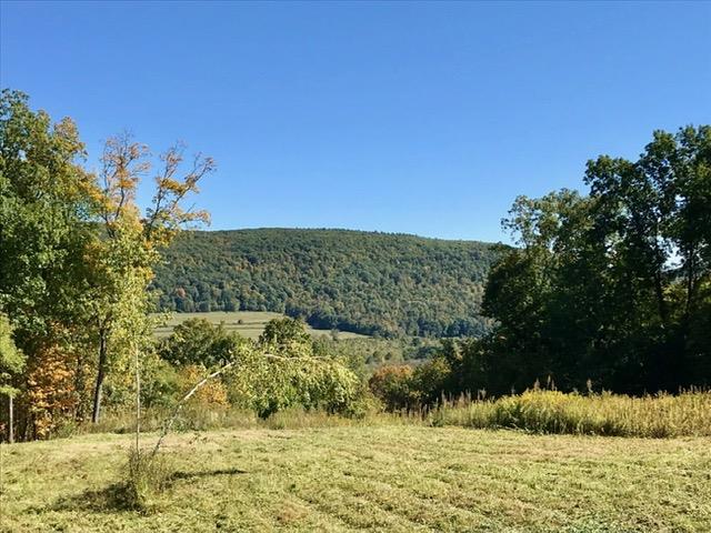 0 Mill Road Property Photo