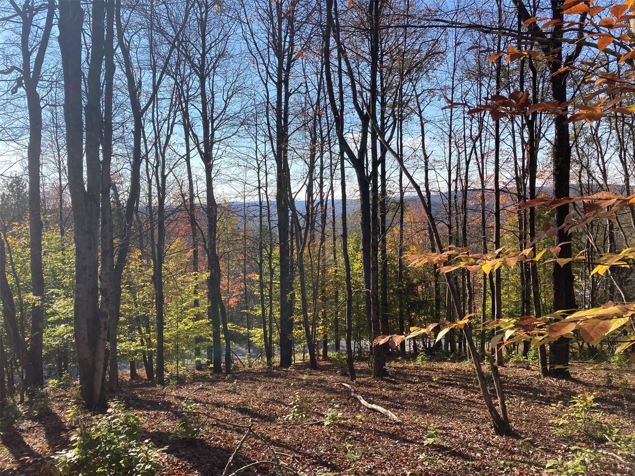 Tbd White Roe Lake Road Property Photo