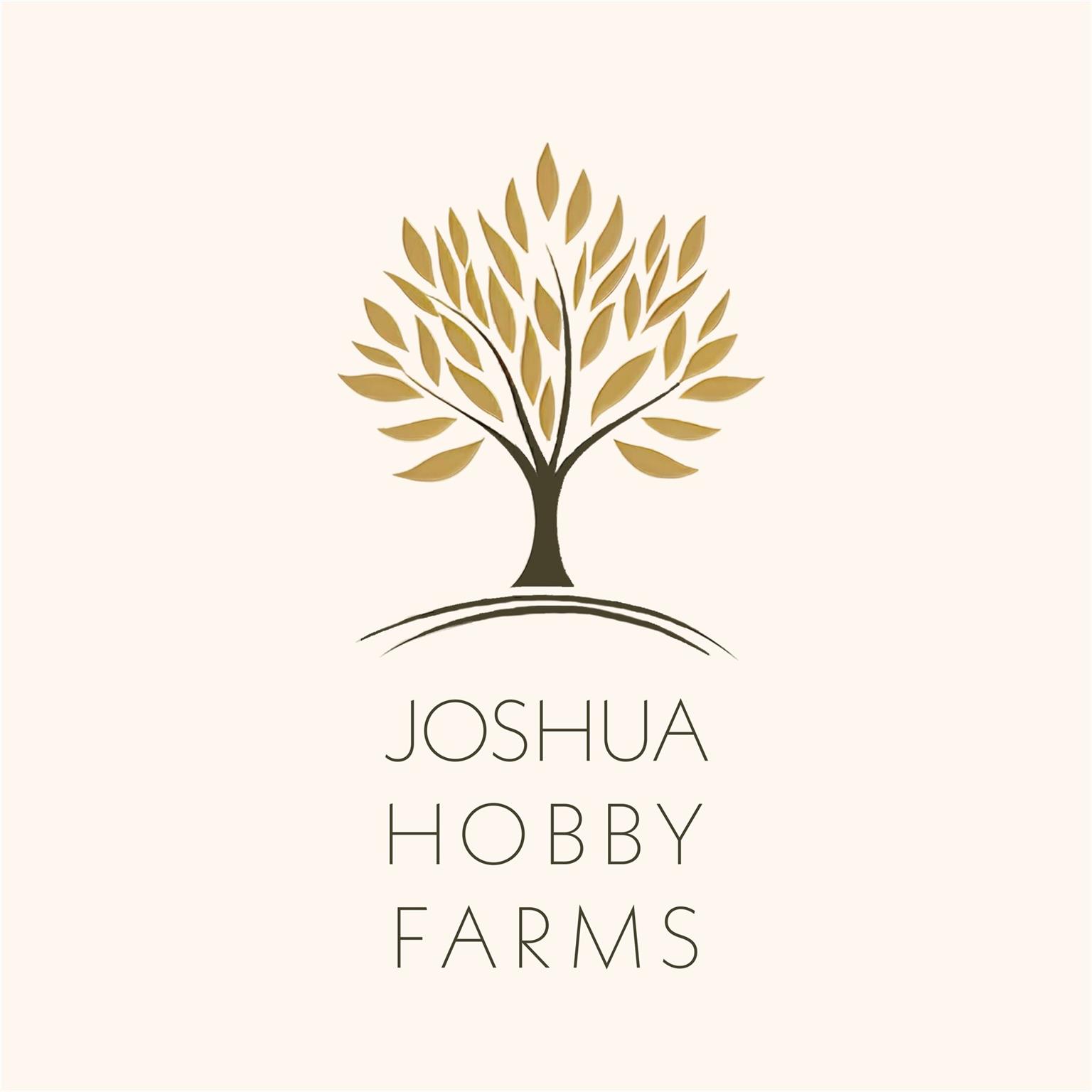 22 Joshua Hobby Lane Property Photo