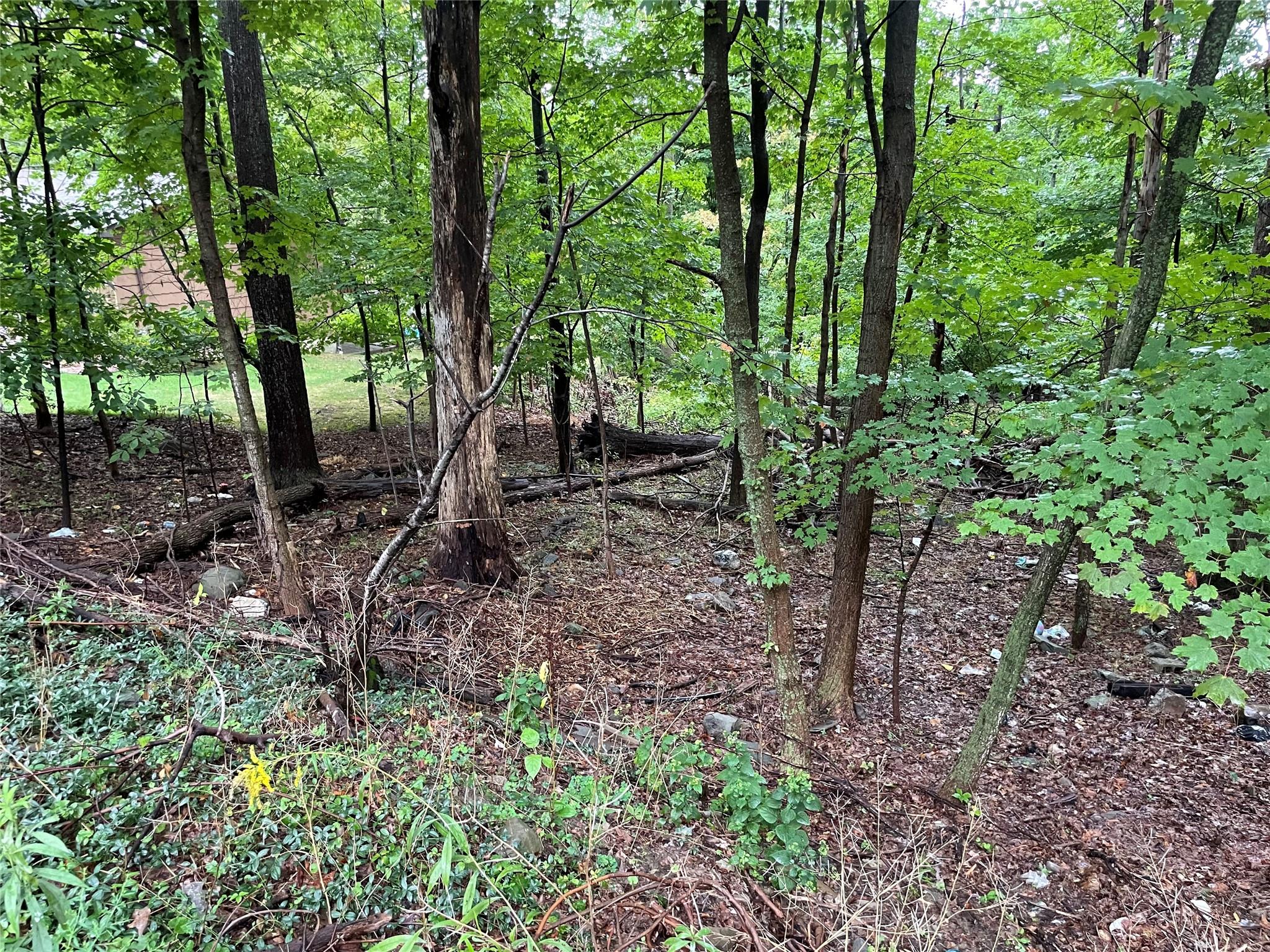11 Olympus Road Property Photo 4