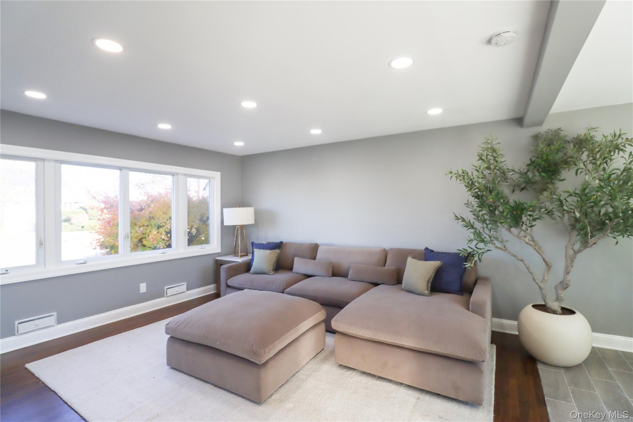14a Earl Place Property Photo 8