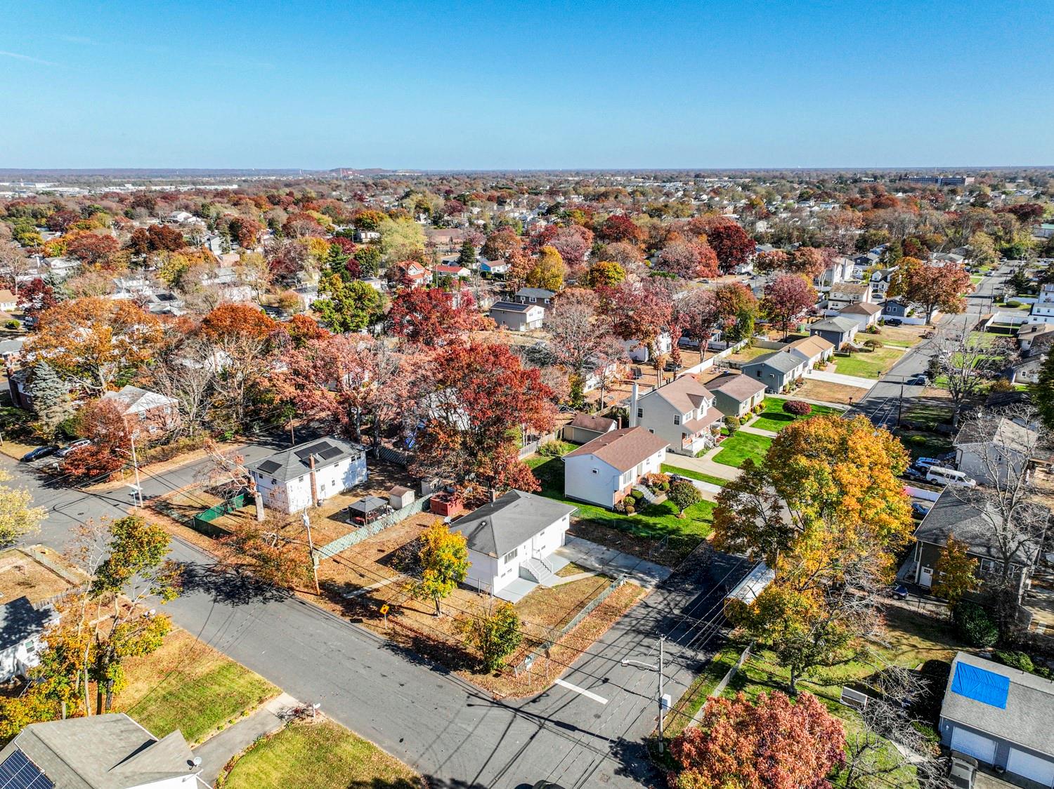 55 Glenmalure Street Property Photo 3