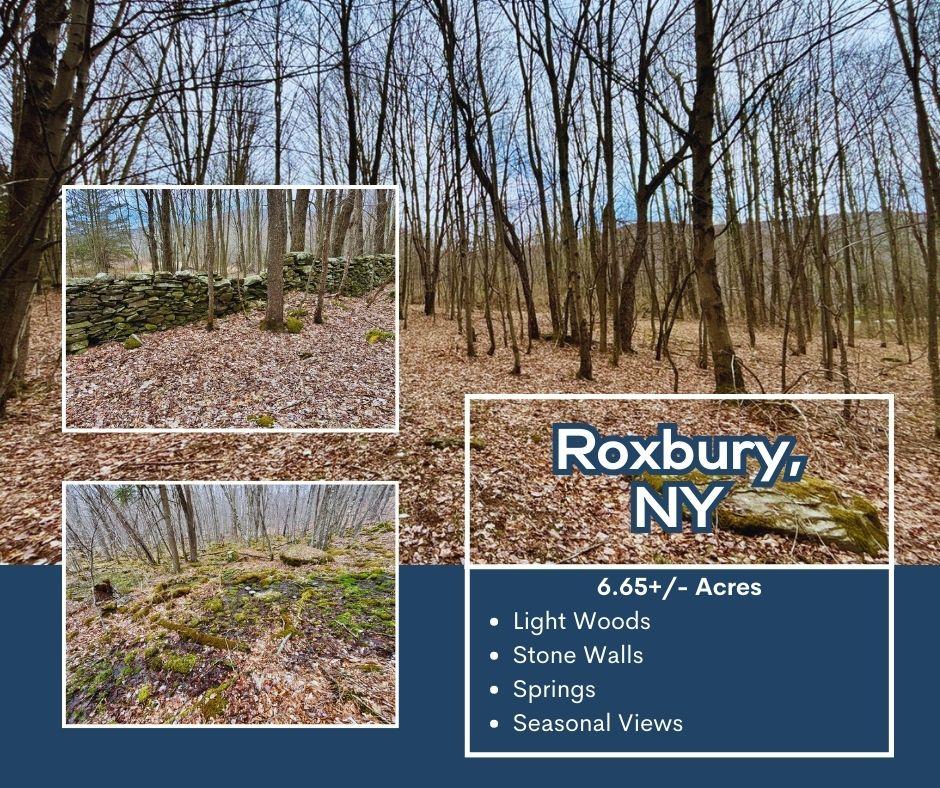 12474 Real Estate Listings Main Image