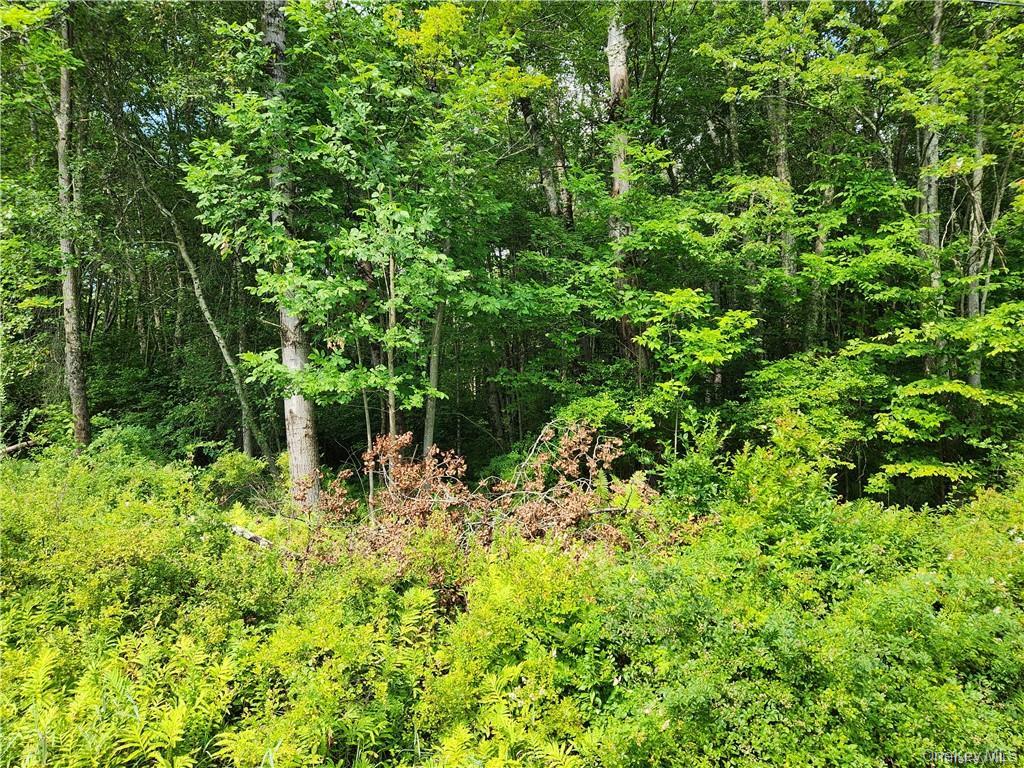 2.-1-32.7 State Route 17b Property Photo 3