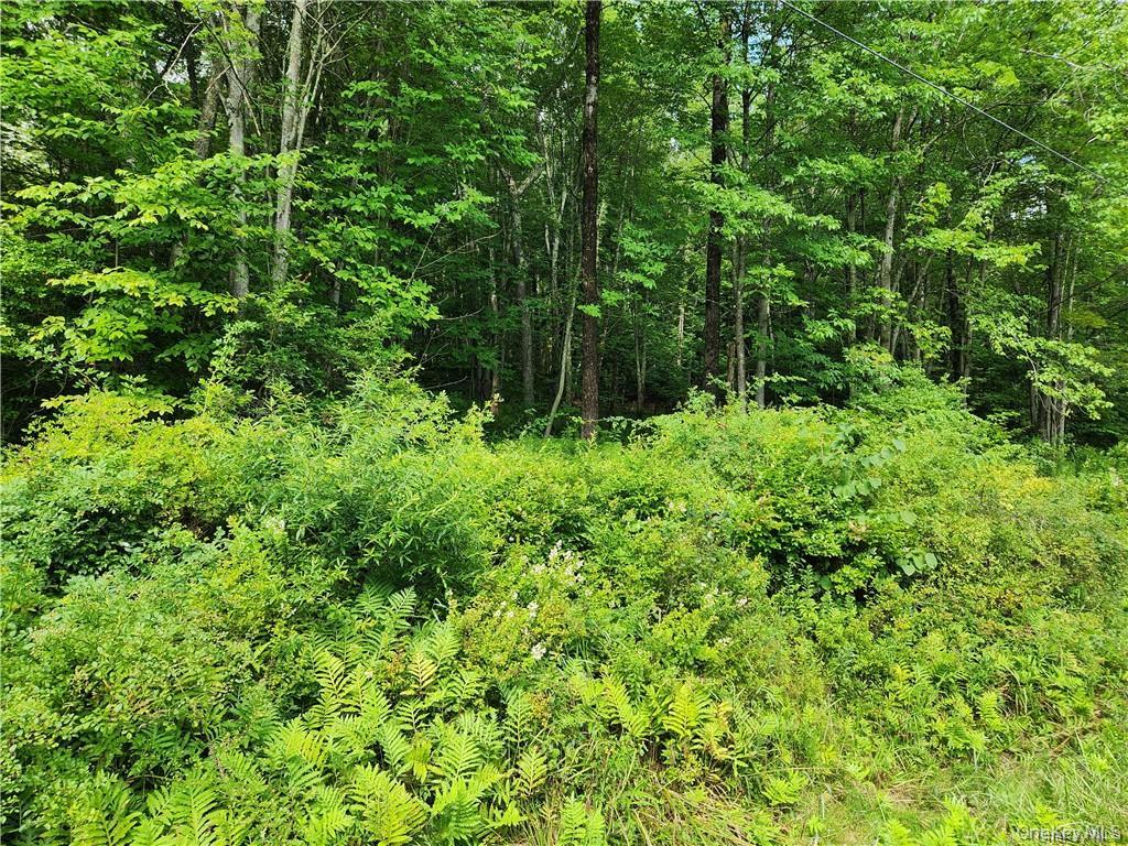2.-1-32.7 State Route 17b Property Photo 4