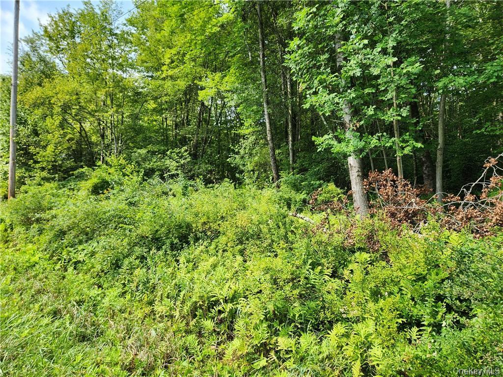 2.-1-32.7 State Route 17b Property Photo 5