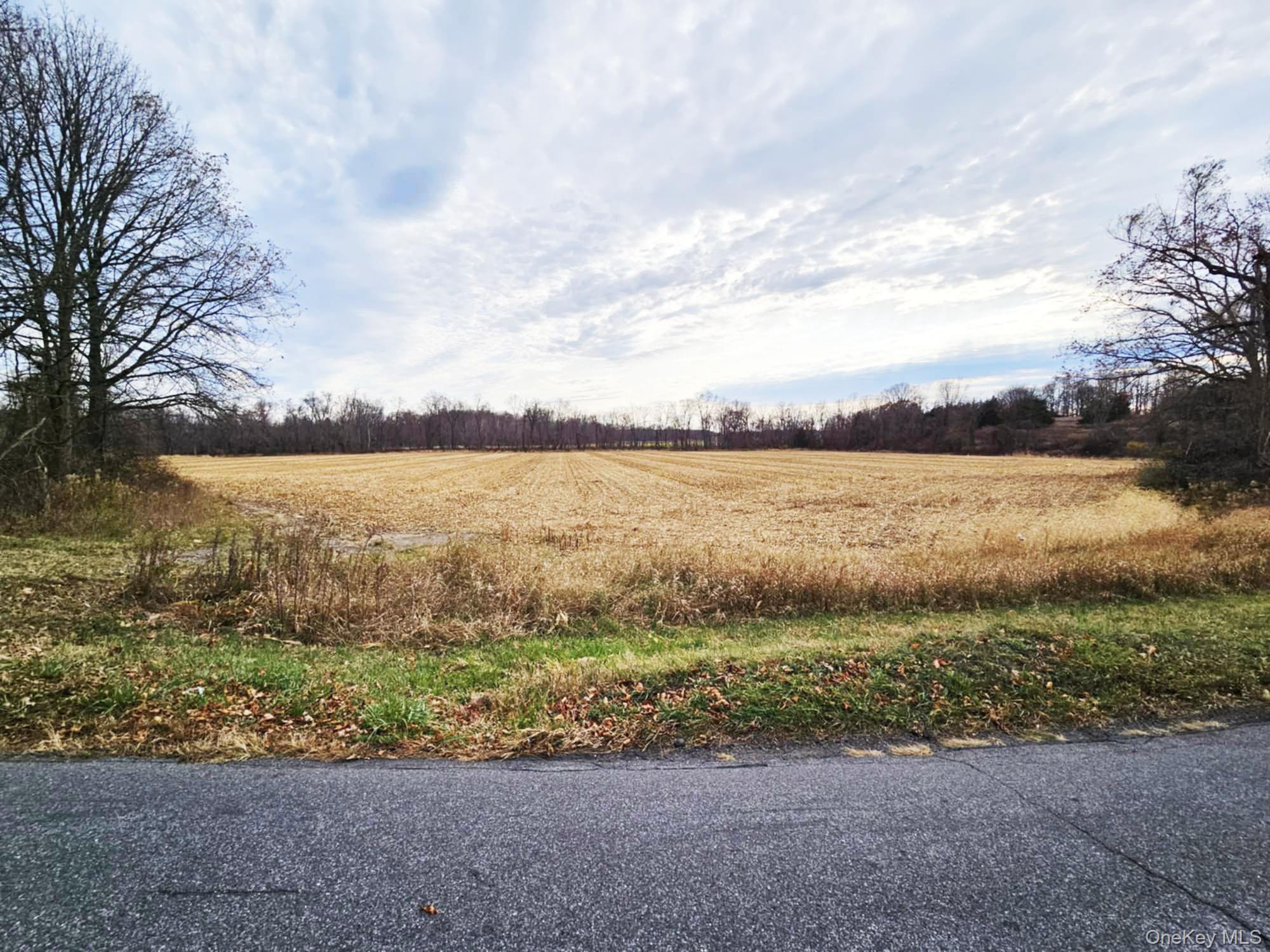 274 Fingar Road Property Photo 25