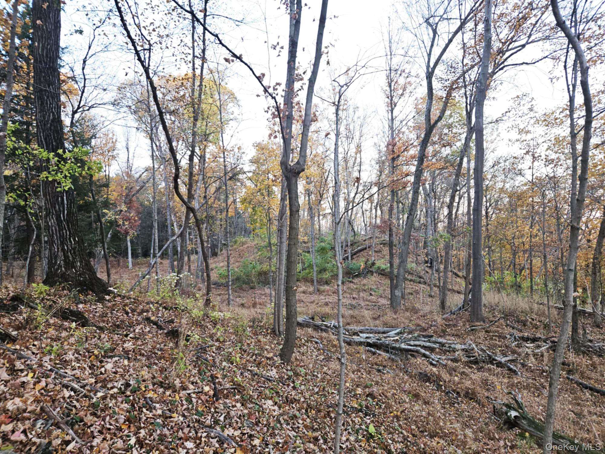 274 Fingar Road Property Photo 47