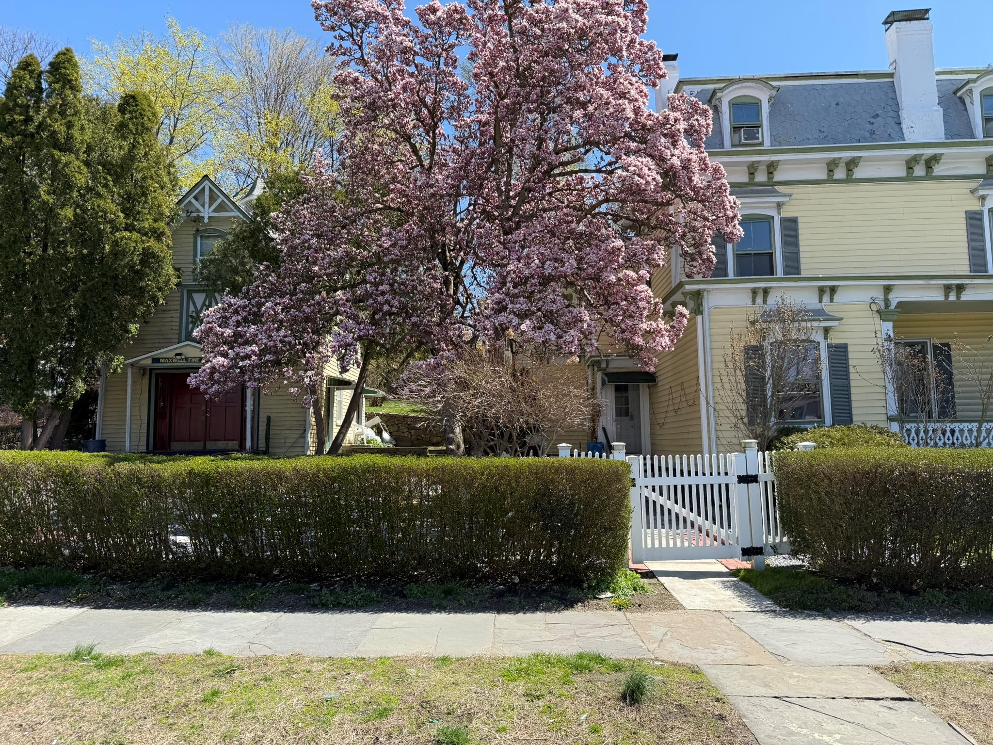 1204 Main Street Property Photo 3