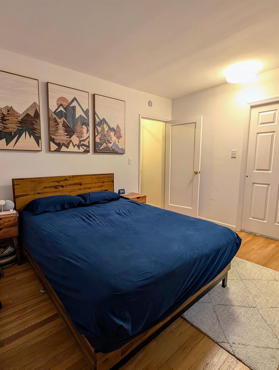 200 N Village Avenue Apt B1 Property Photo 4
