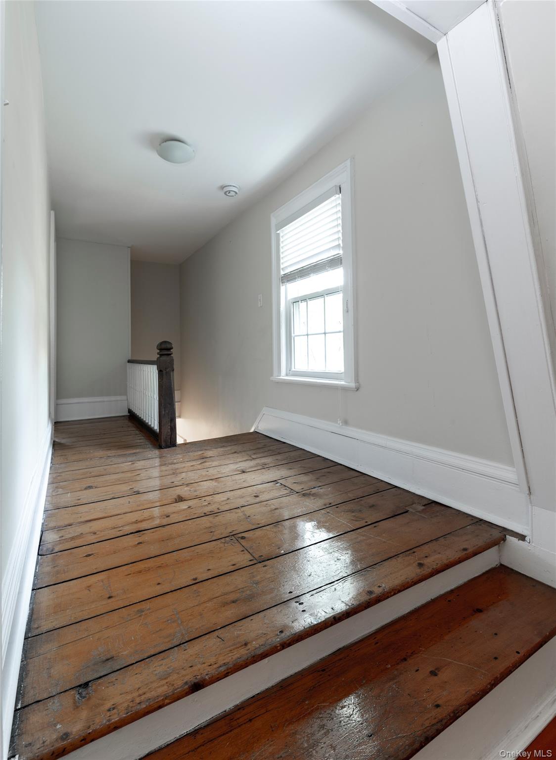 78 Closter Road Property Photo 38