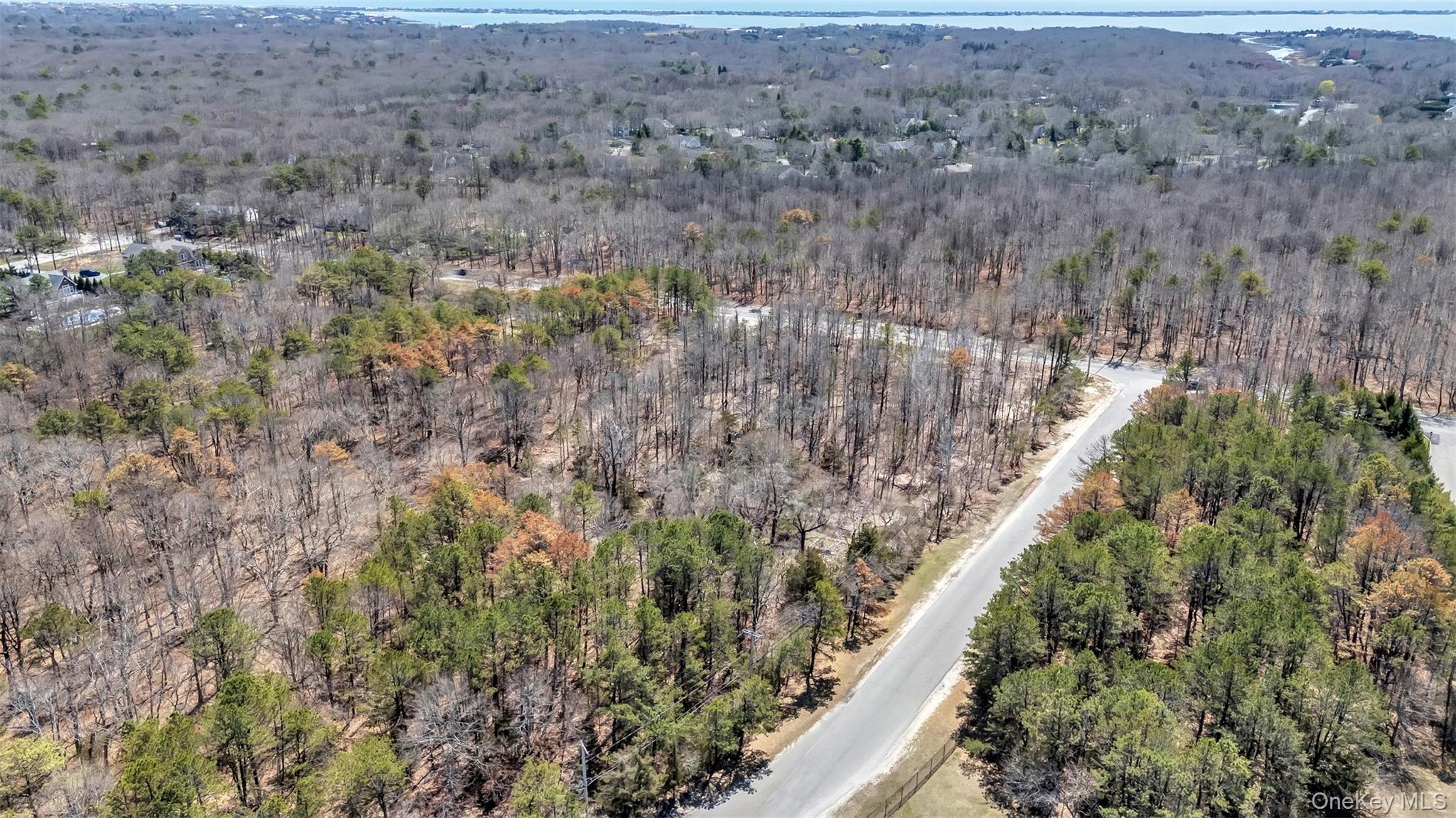 98 Old Country Road Property Photo 4