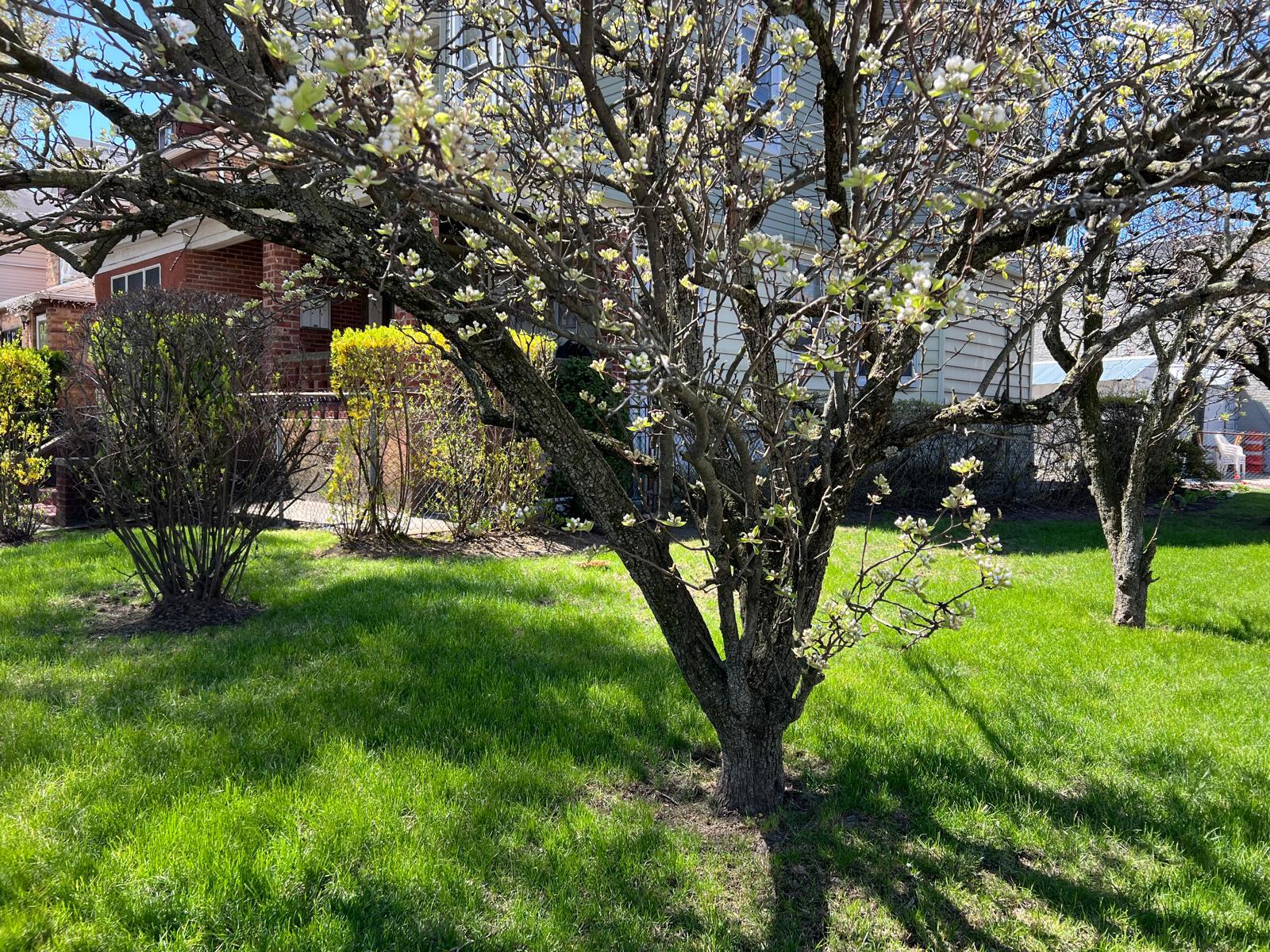 1006 E 31st Street Property Photo 5