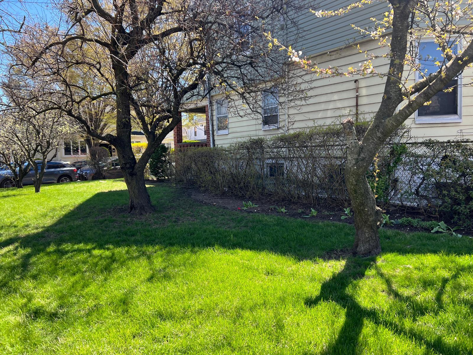 1006 E 31st Street Property Photo 6