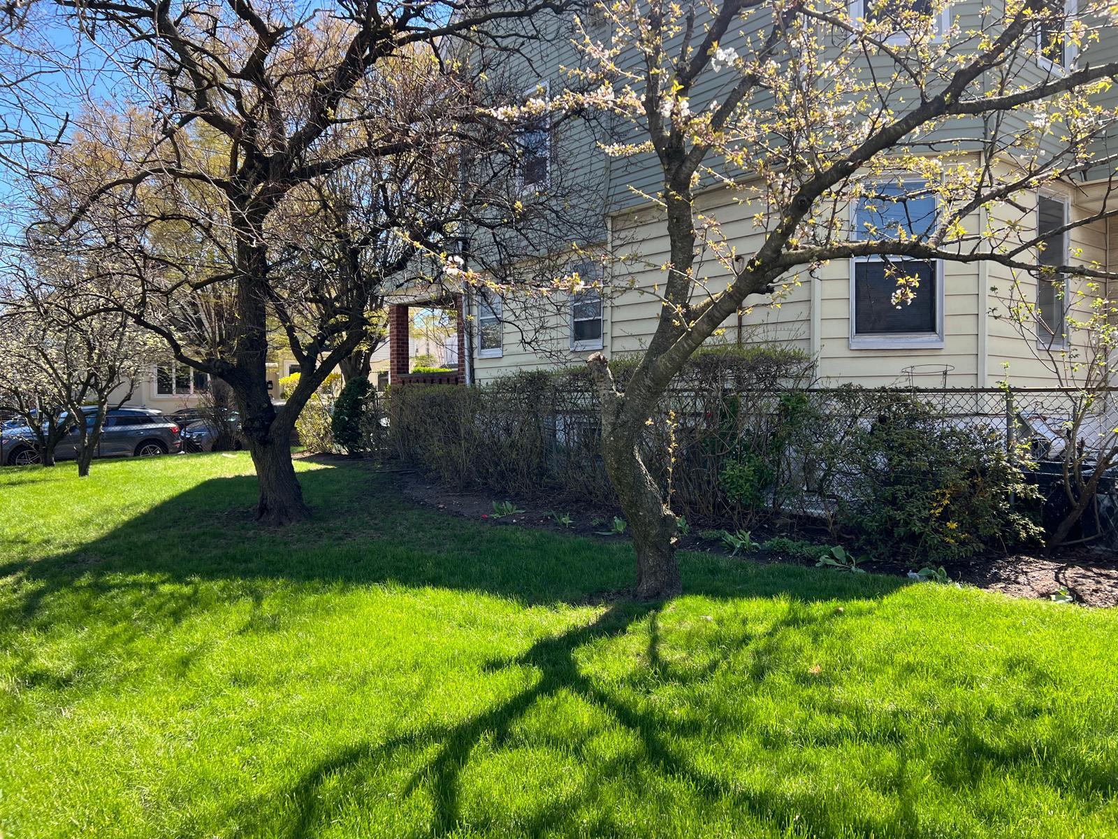 1006 E 31st Street Property Photo 8
