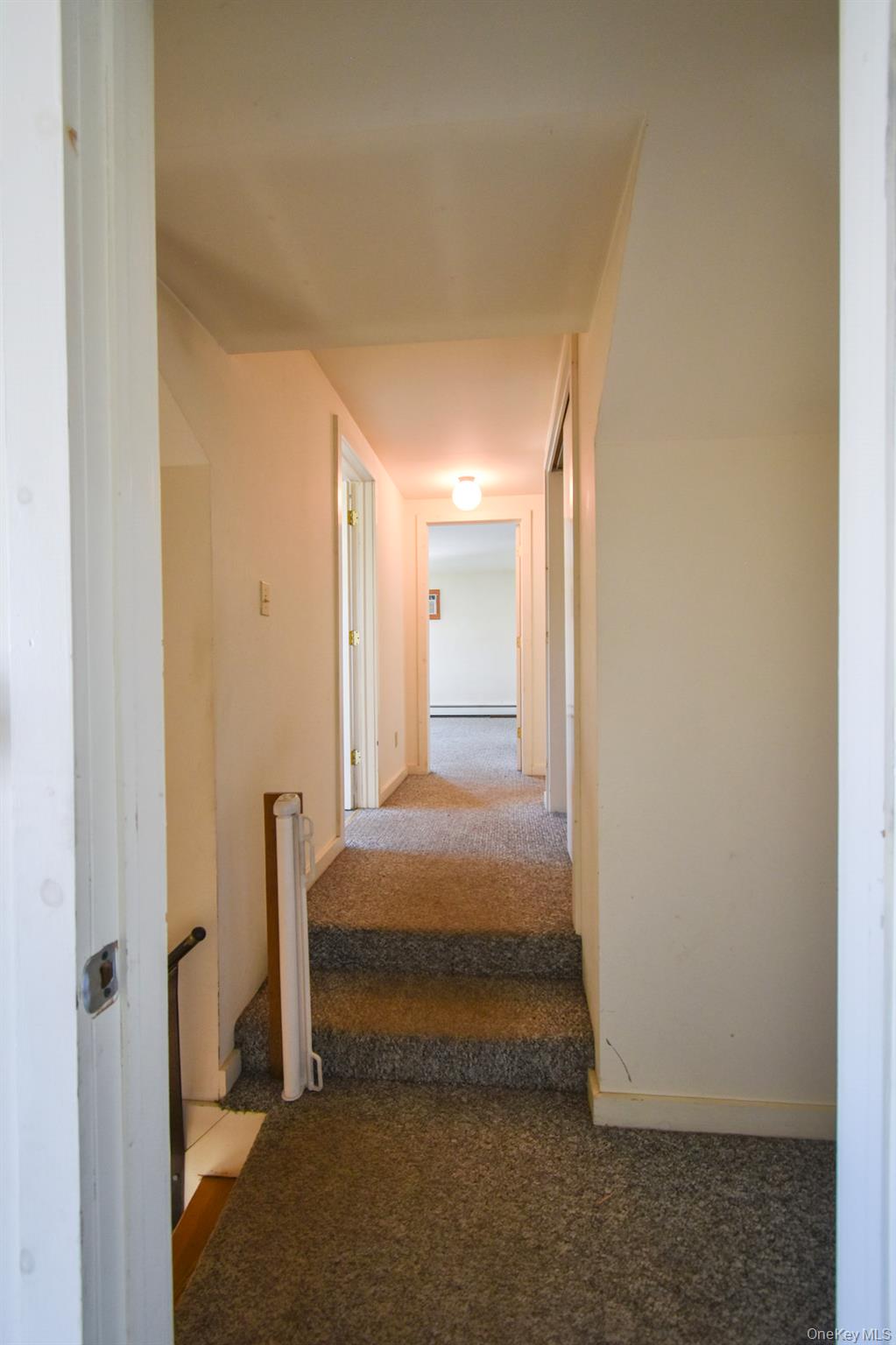 6099 Route 82 Property Photo 22