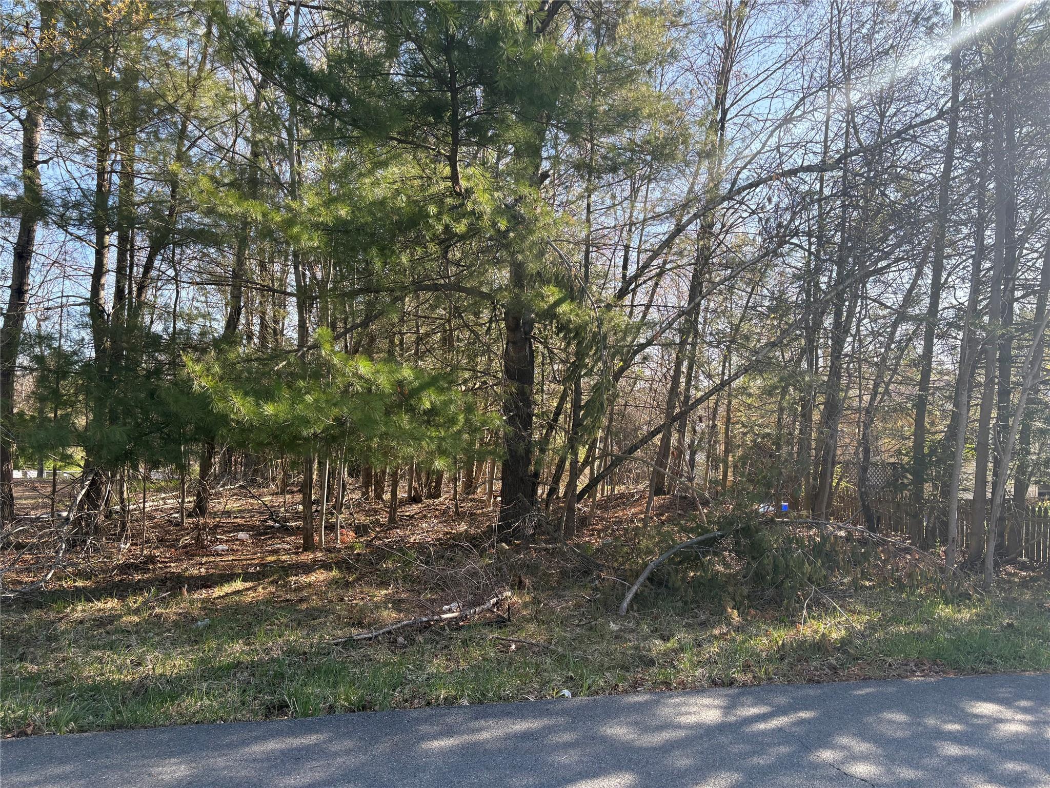 Woodcliff Ave Property Photo