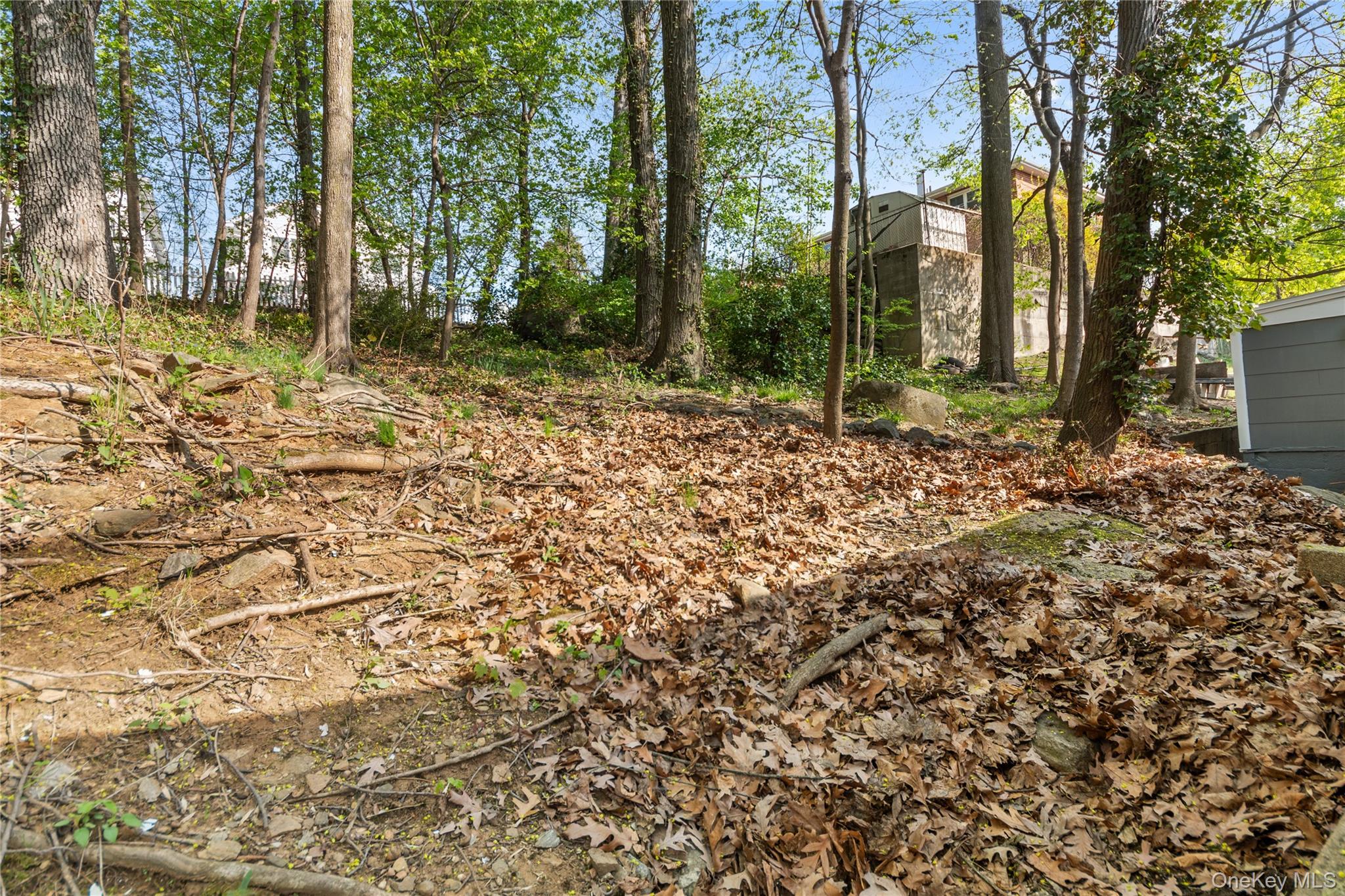 84 Courter Avenue Property Photo 20